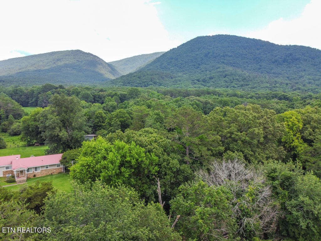 1000018289 - 275 Spring Creek Rd, Delano, TN 37325
