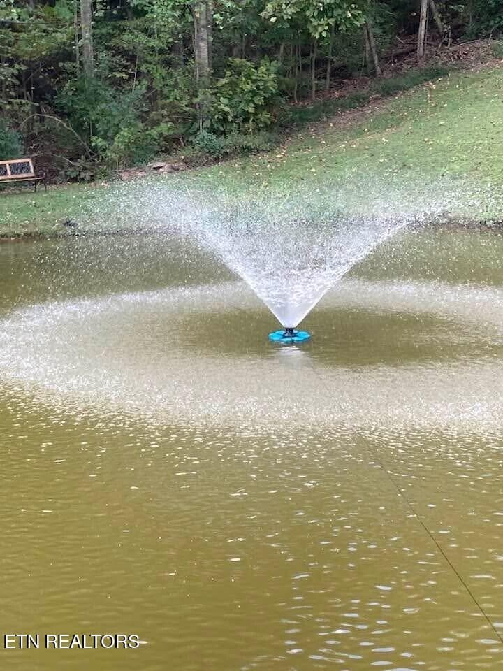 pond 2 - 5919 Atkins Rd, Knoxville, TN 37918