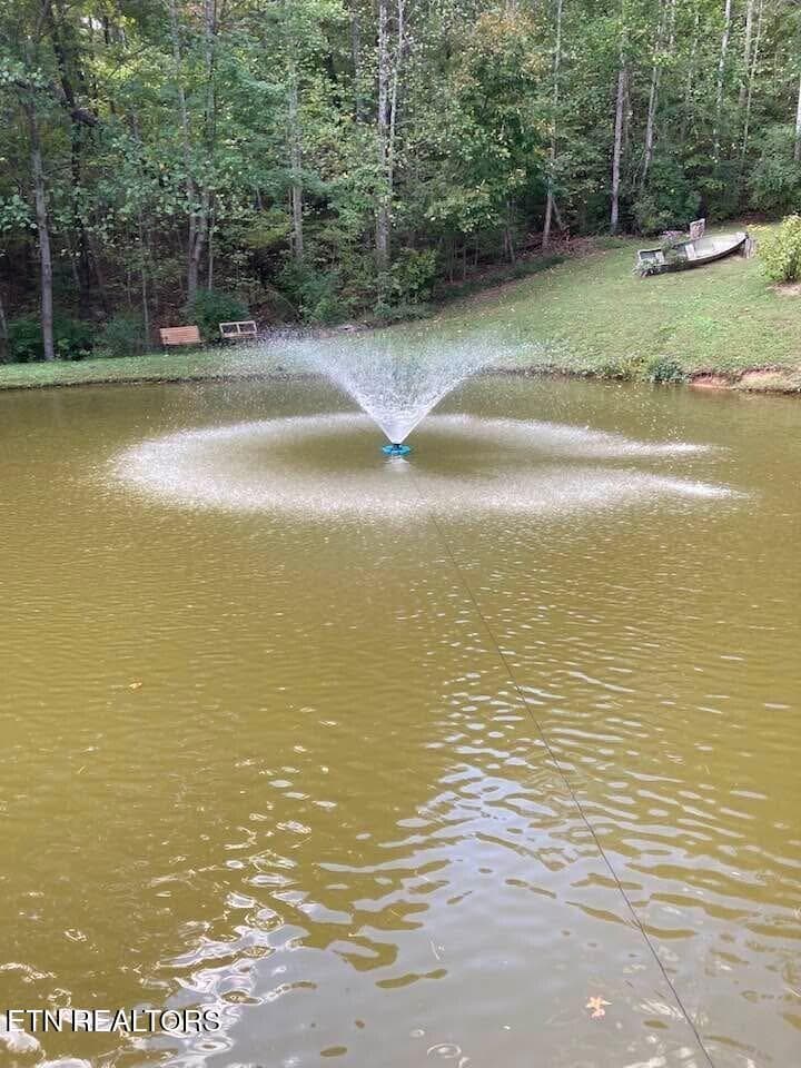 Pond 3 - 5919 Atkins Rd, Knoxville, TN 37918