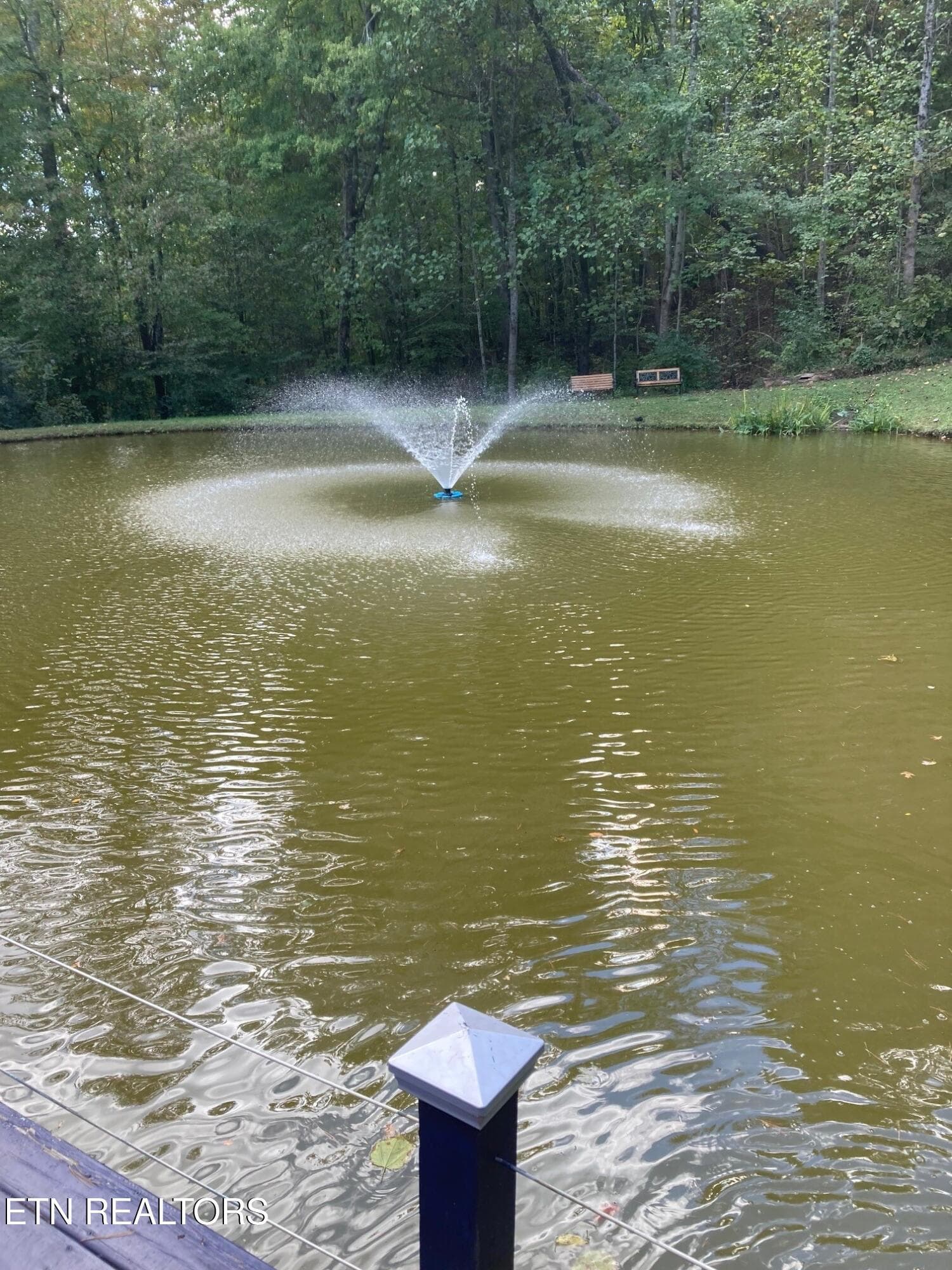 pond 4 - 5919 Atkins Rd, Knoxville, TN 37918