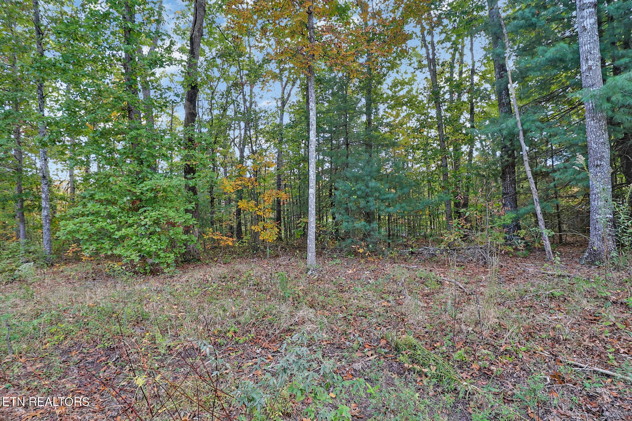 Front of Lot - 8068 Saratoga Drive, Crossville, TN 38572