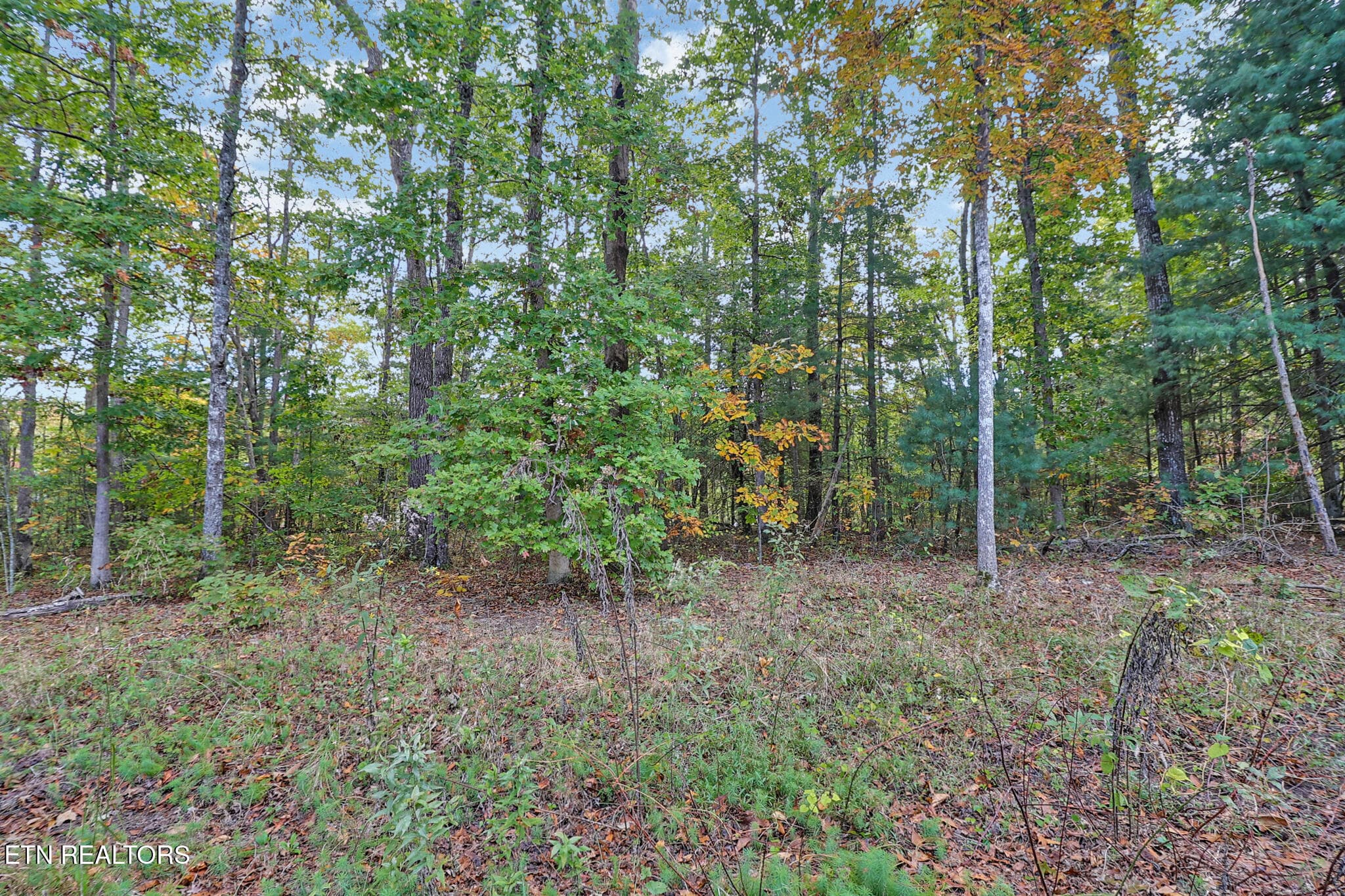Level Lot - 8068 Saratoga Drive, Crossville, TN 38572