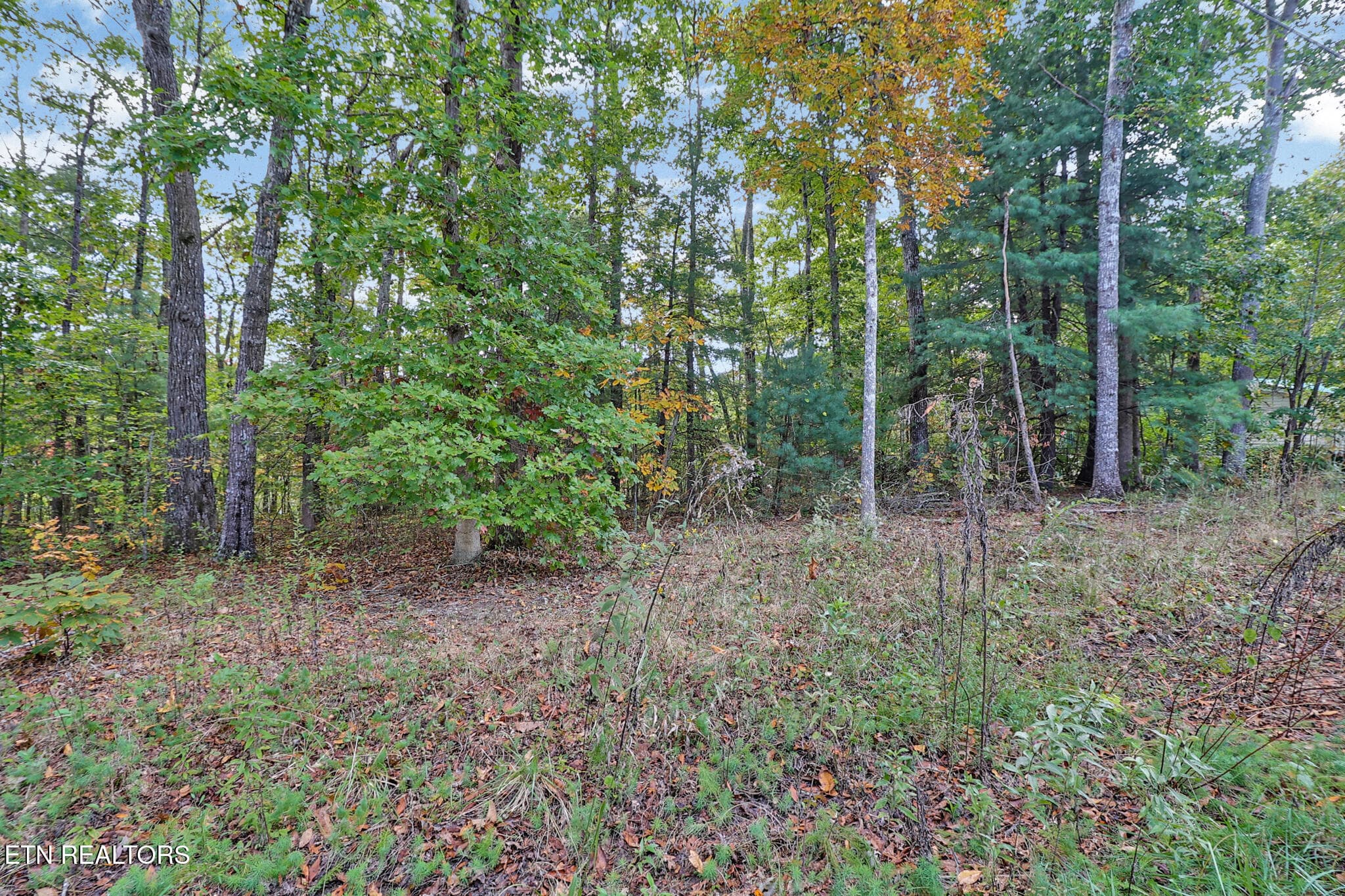 Lake Tansi Amenities - 8068 Saratoga Drive, Crossville, TN 38572
