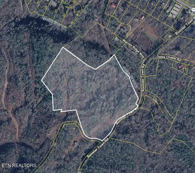 Rooster Town Rd, Cosby, TN 37722