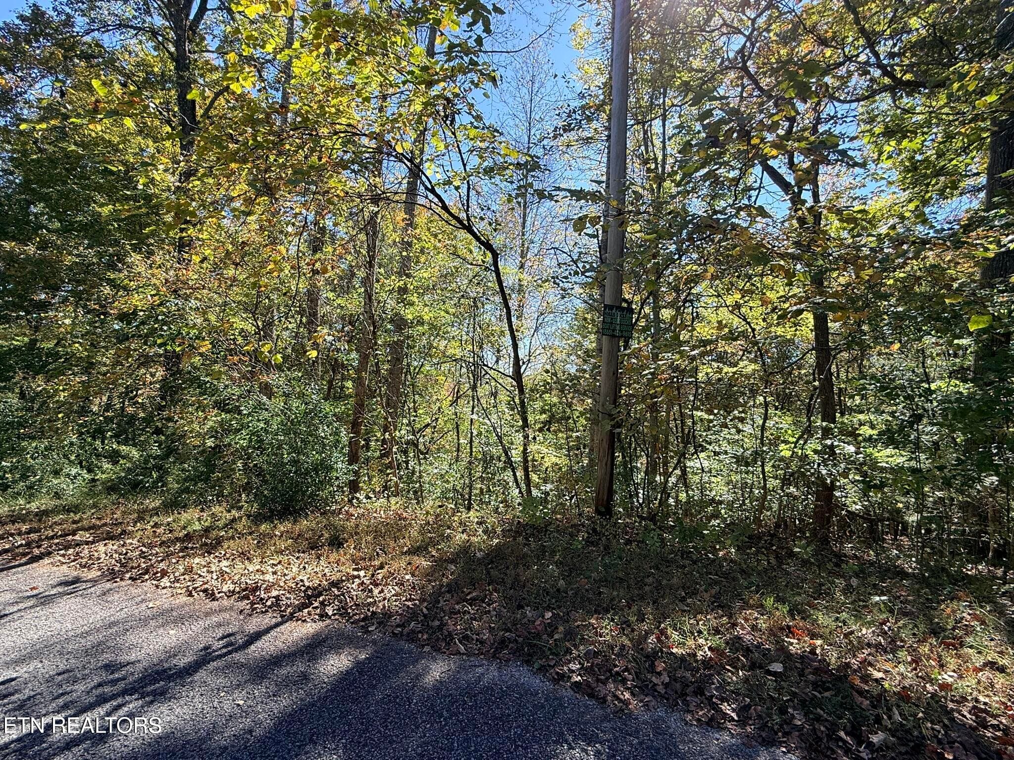 IMG_1325 - Indian Creek Rd, Jacksboro, TN 37757