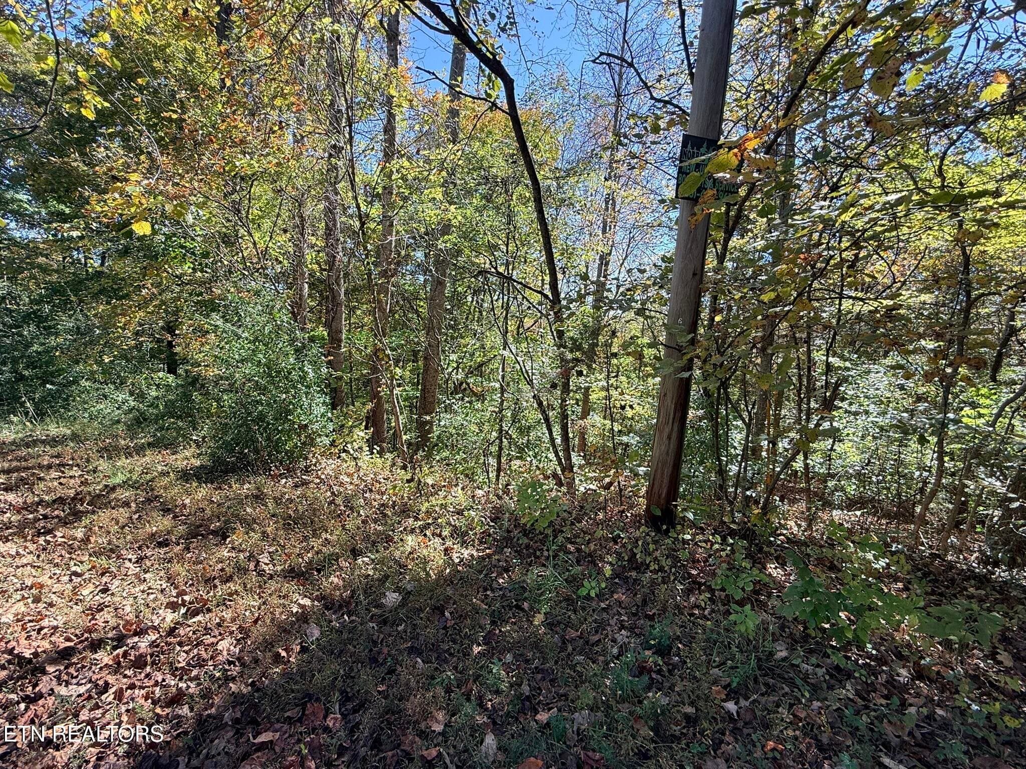 IMG_1326 - Indian Creek Rd, Jacksboro, TN 37757