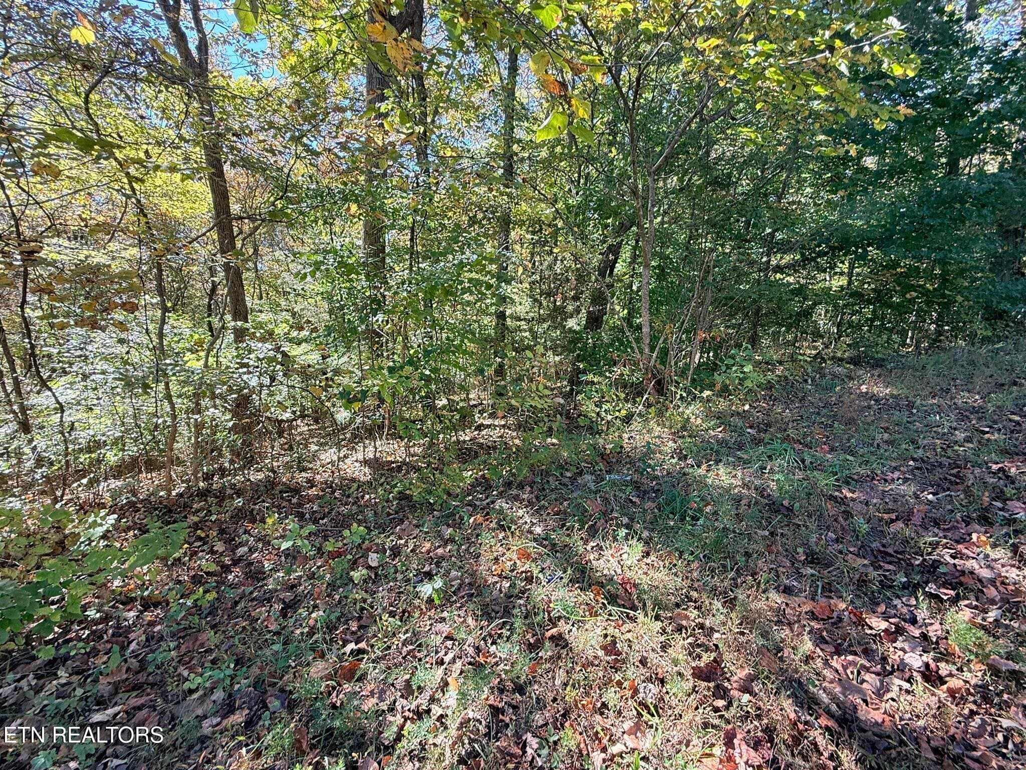 IMG_1327 - Indian Creek Rd, Jacksboro, TN 37757
