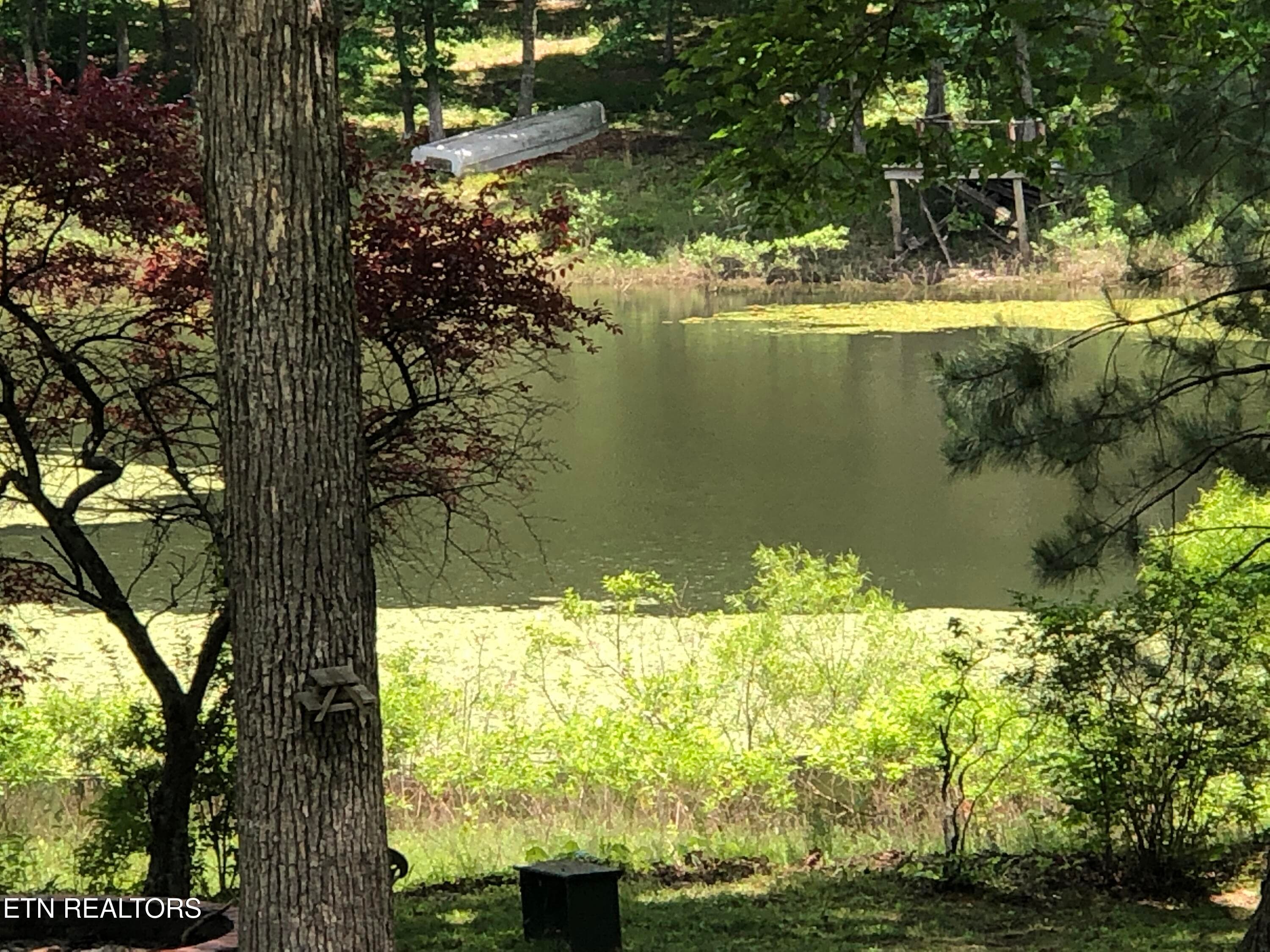 IMG_5088 - 980 Sharon Circle, Crossville, TN 38572