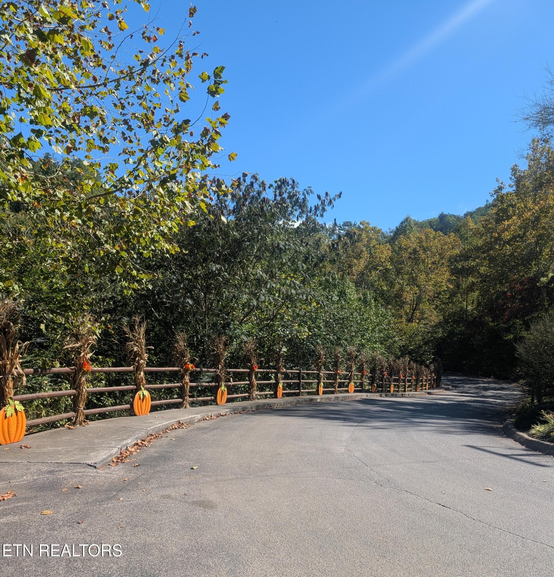 1000003611 - Mountain Ridge Way, Sevierville, TN 37862