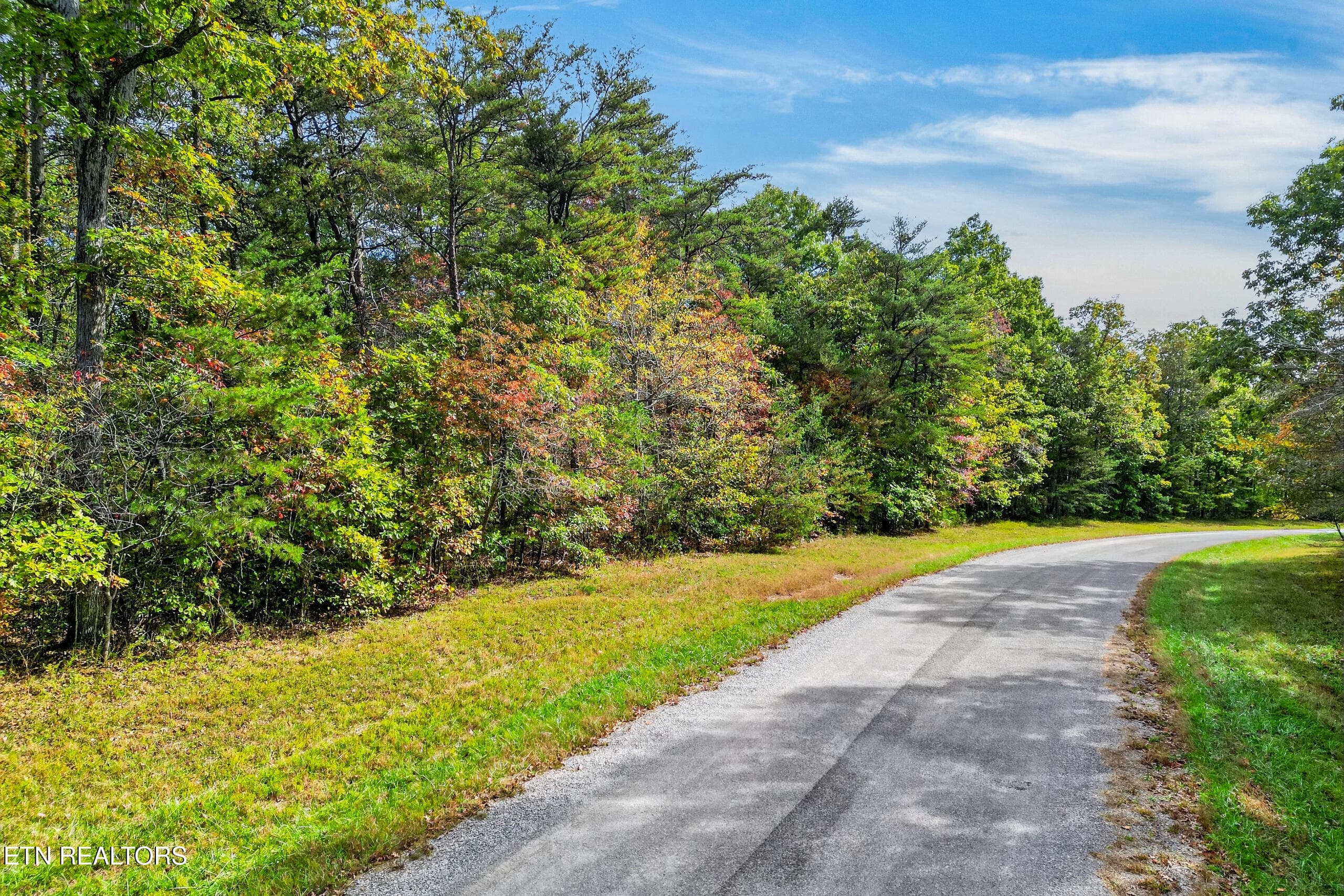 002_DJI_0634 - 14 N Laurel Loop, Monterey, TN 38574