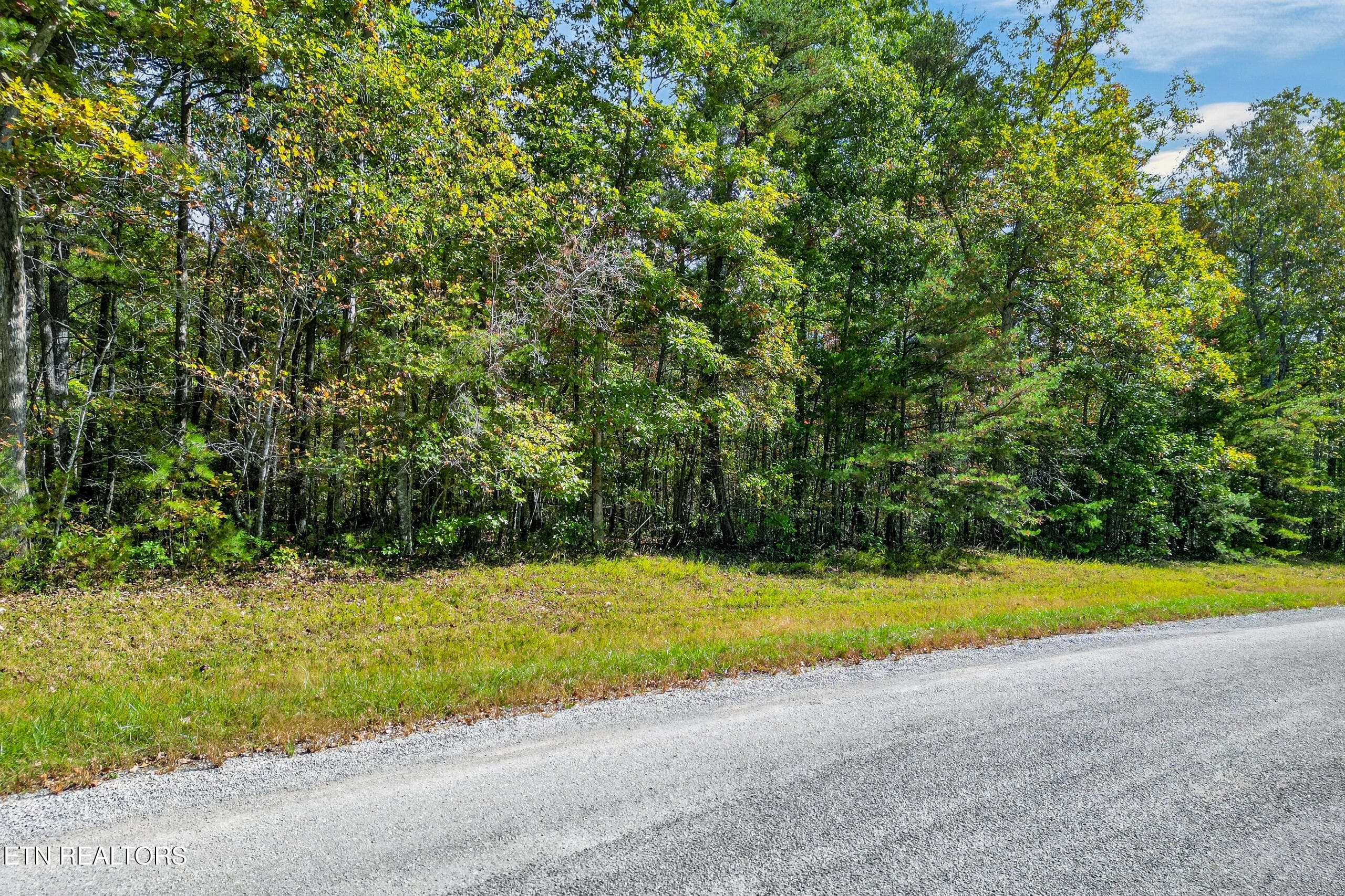 003_DJI_0675 - 14 N Laurel Loop, Monterey, TN 38574
