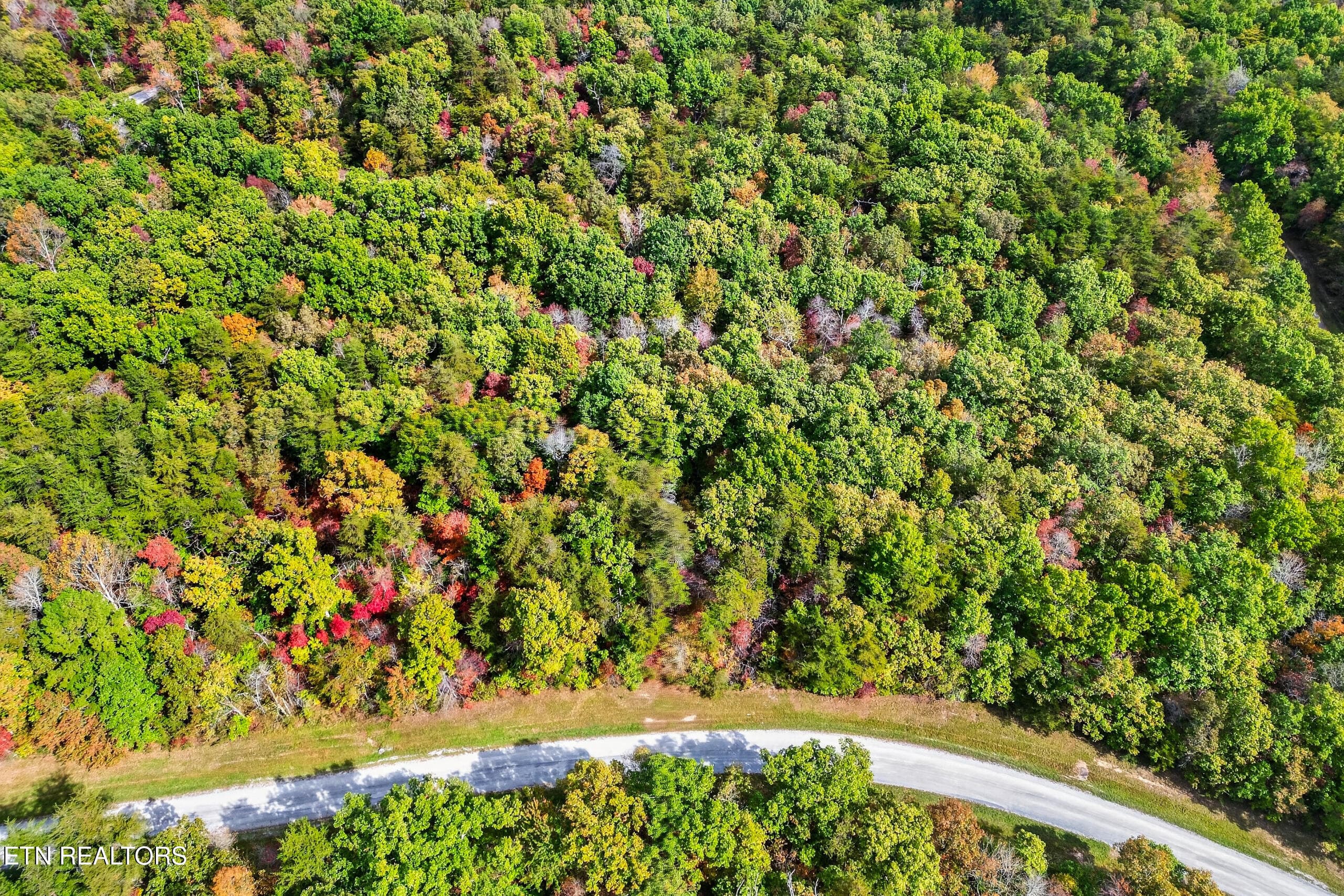 004_DJI_0637 - 14 N Laurel Loop, Monterey, TN 38574