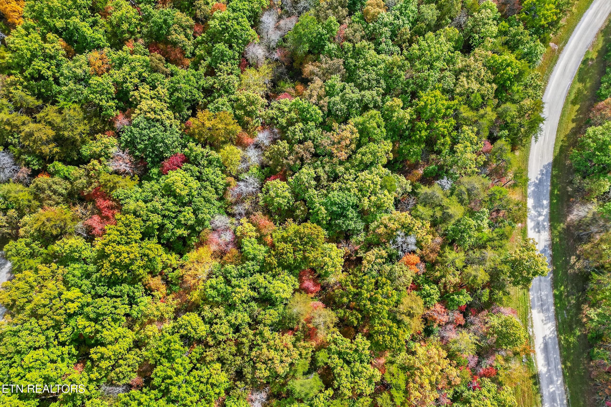 005_DJI_0640 - 14 N Laurel Loop, Monterey, TN 38574