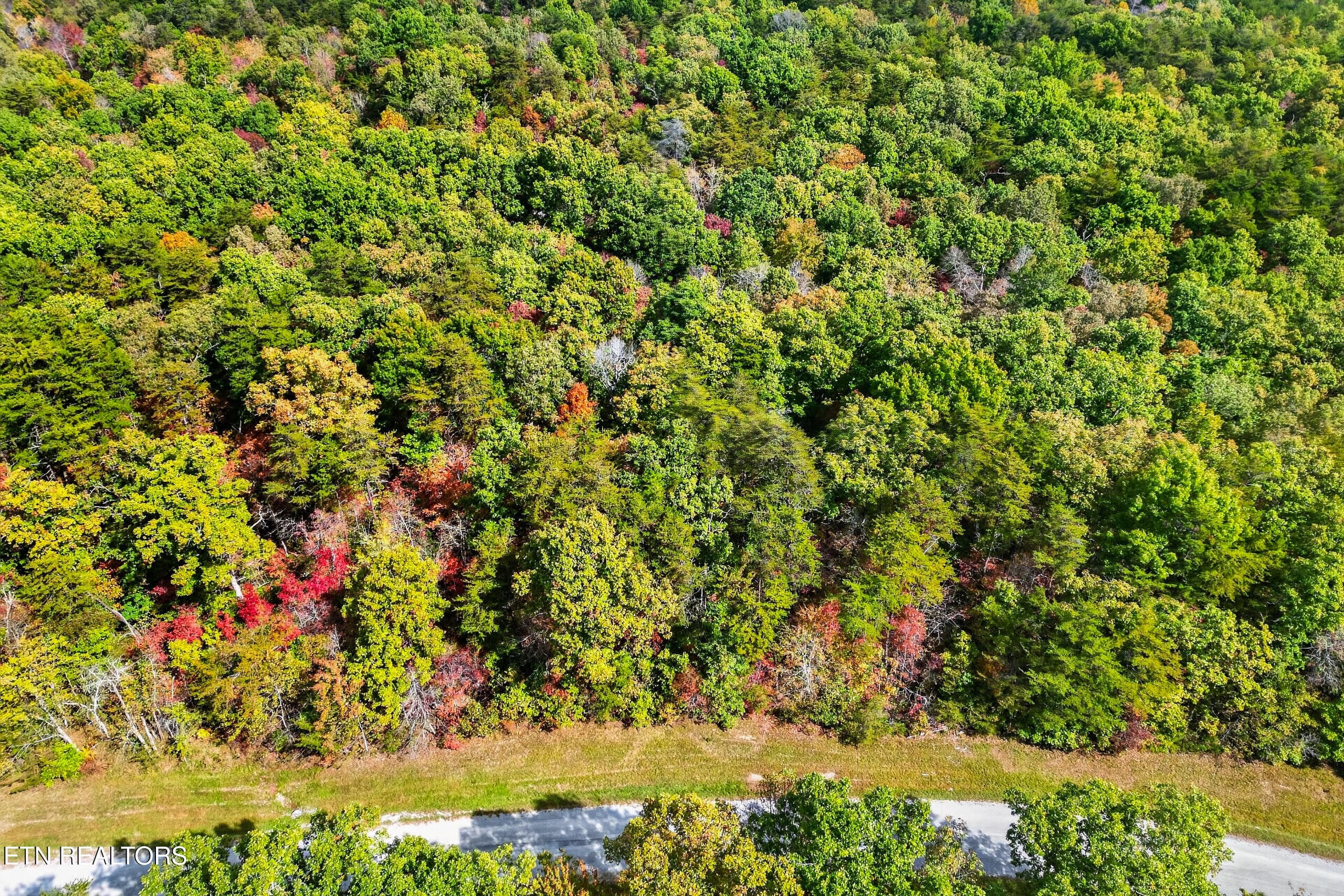 010_DJI_0667 - 14 N Laurel Loop, Monterey, TN 38574