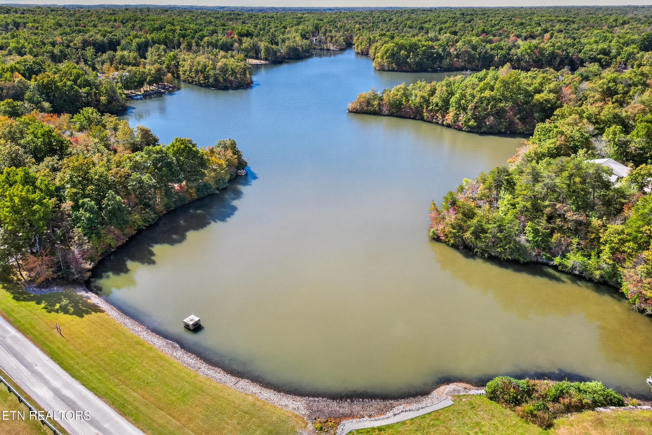 011_DJI_0680 - 14 N Laurel Loop, Monterey, TN 38574