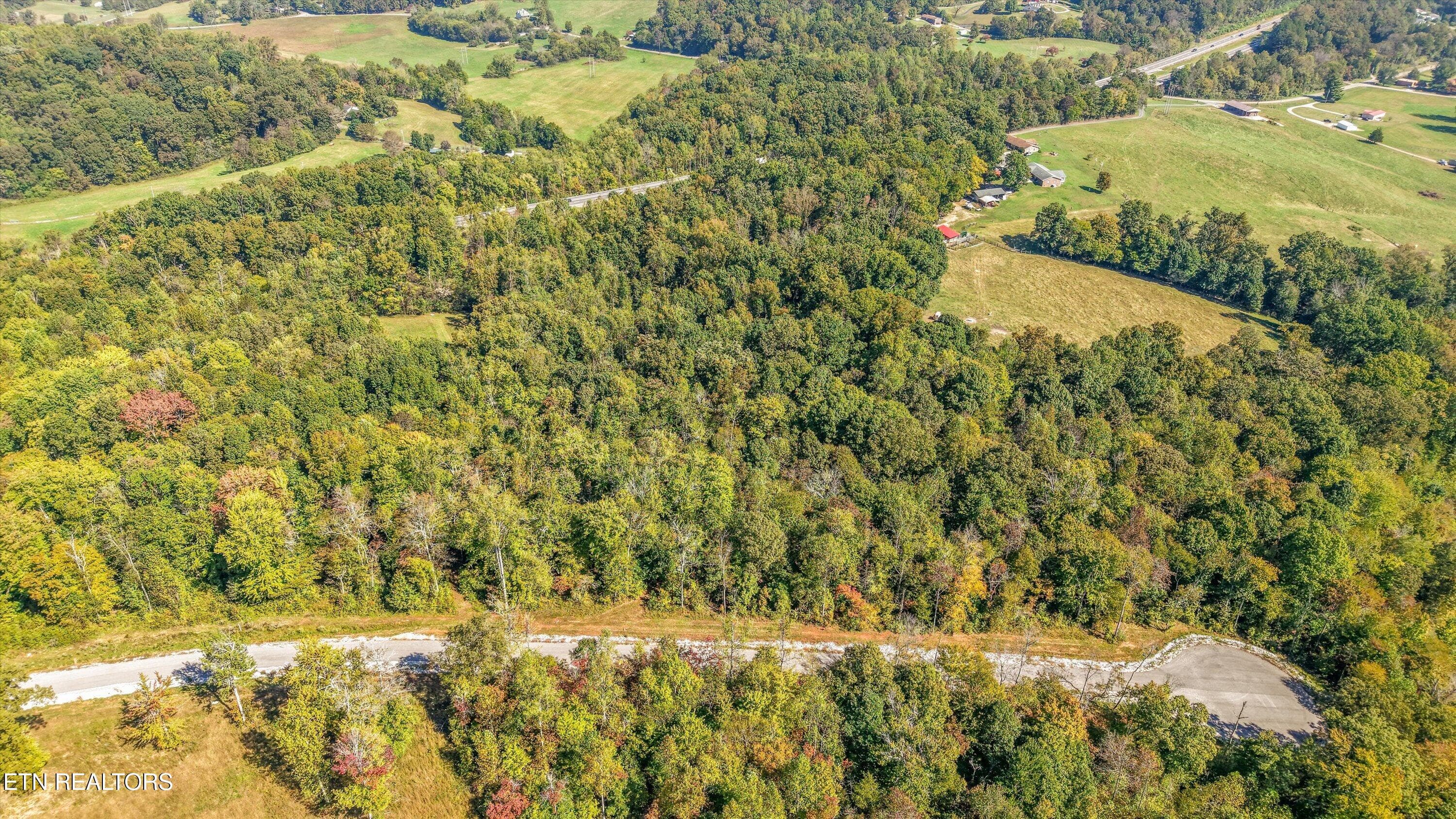 167 Canter Way, Lenoir City, TN 37771