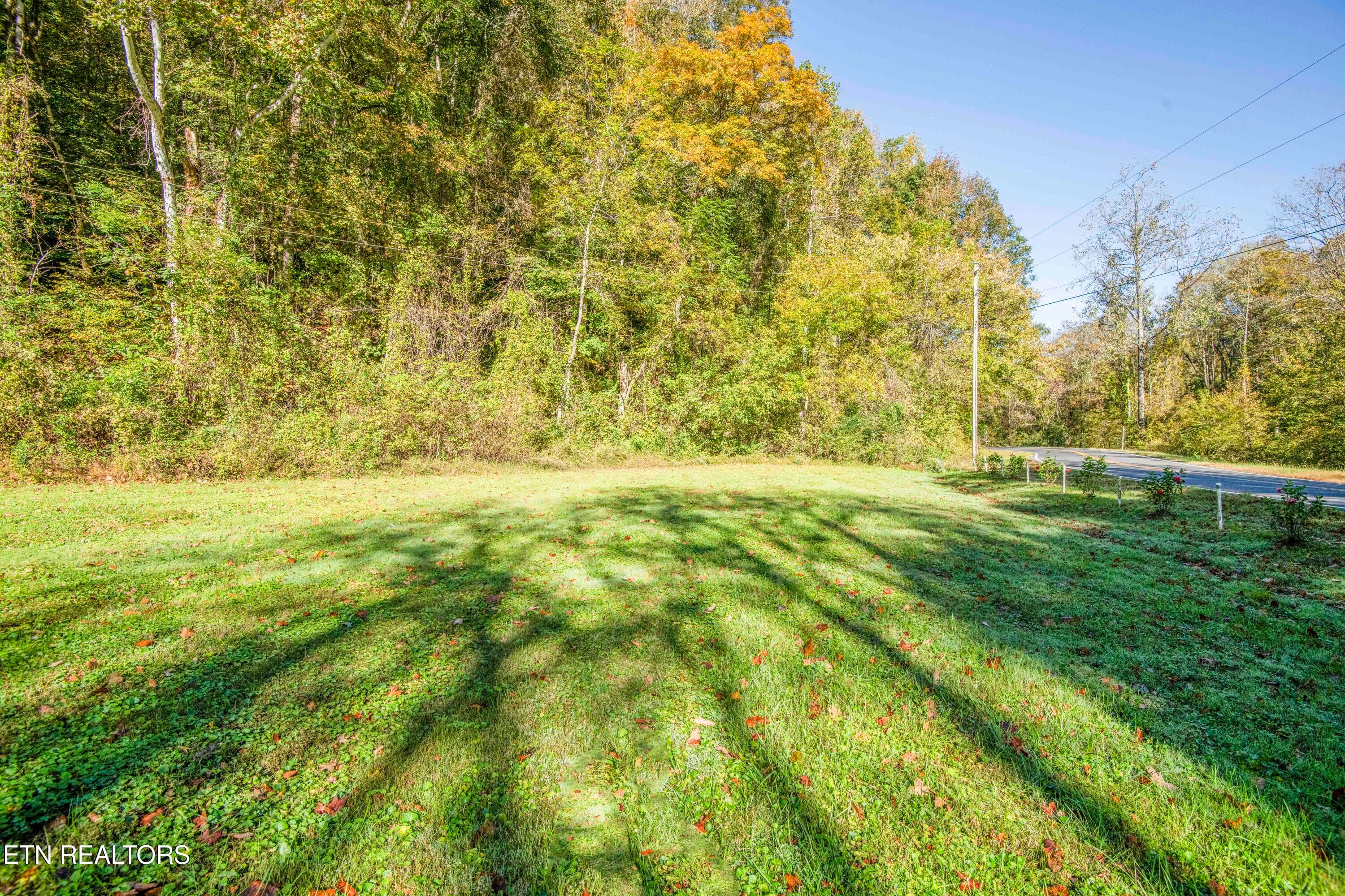 DSC_7059_1 - 164 Moores Gap Rd, Heiskell, TN 37754