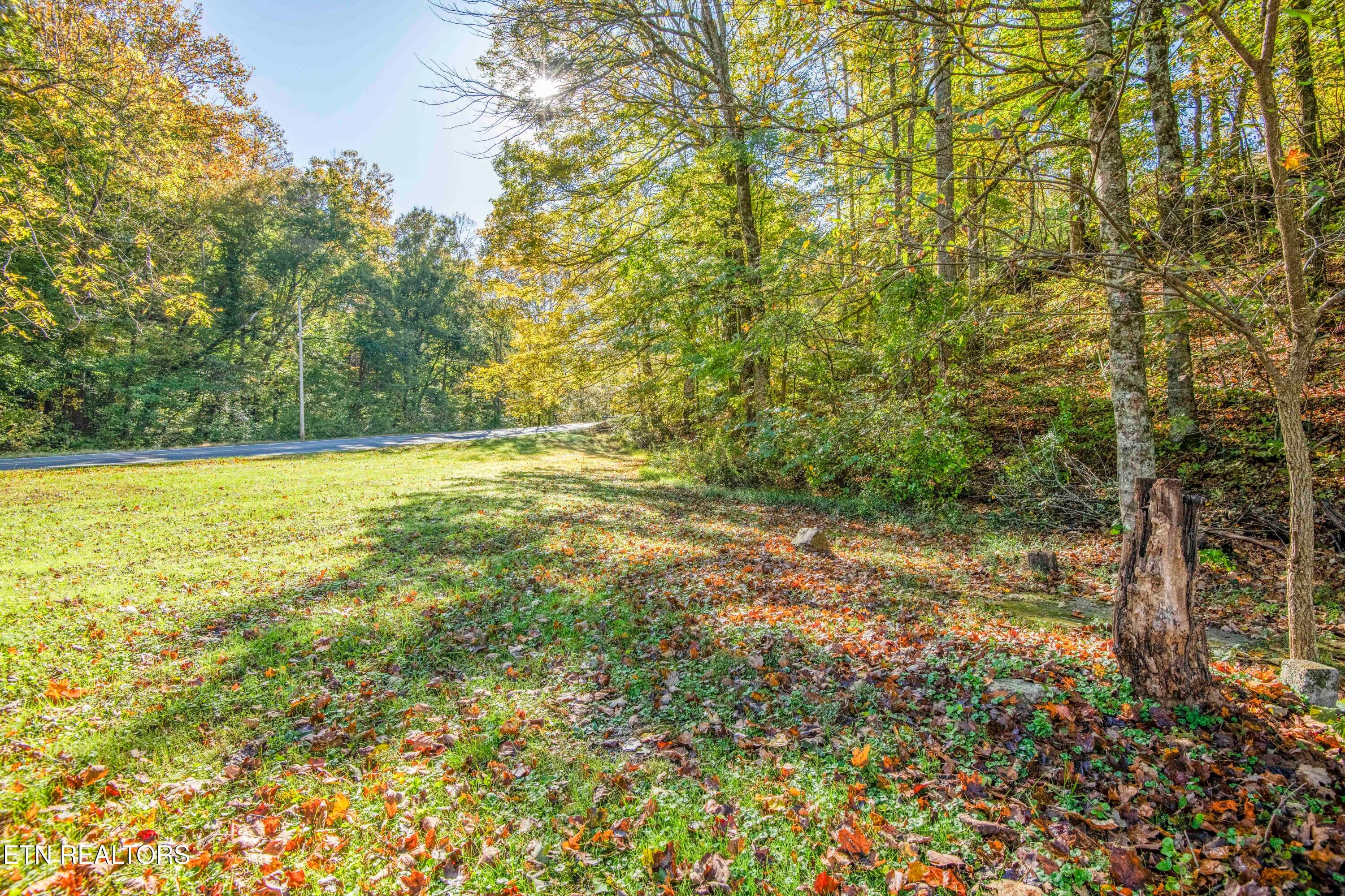 DSC_7062_1 - 164 Moores Gap Rd, Heiskell, TN 37754