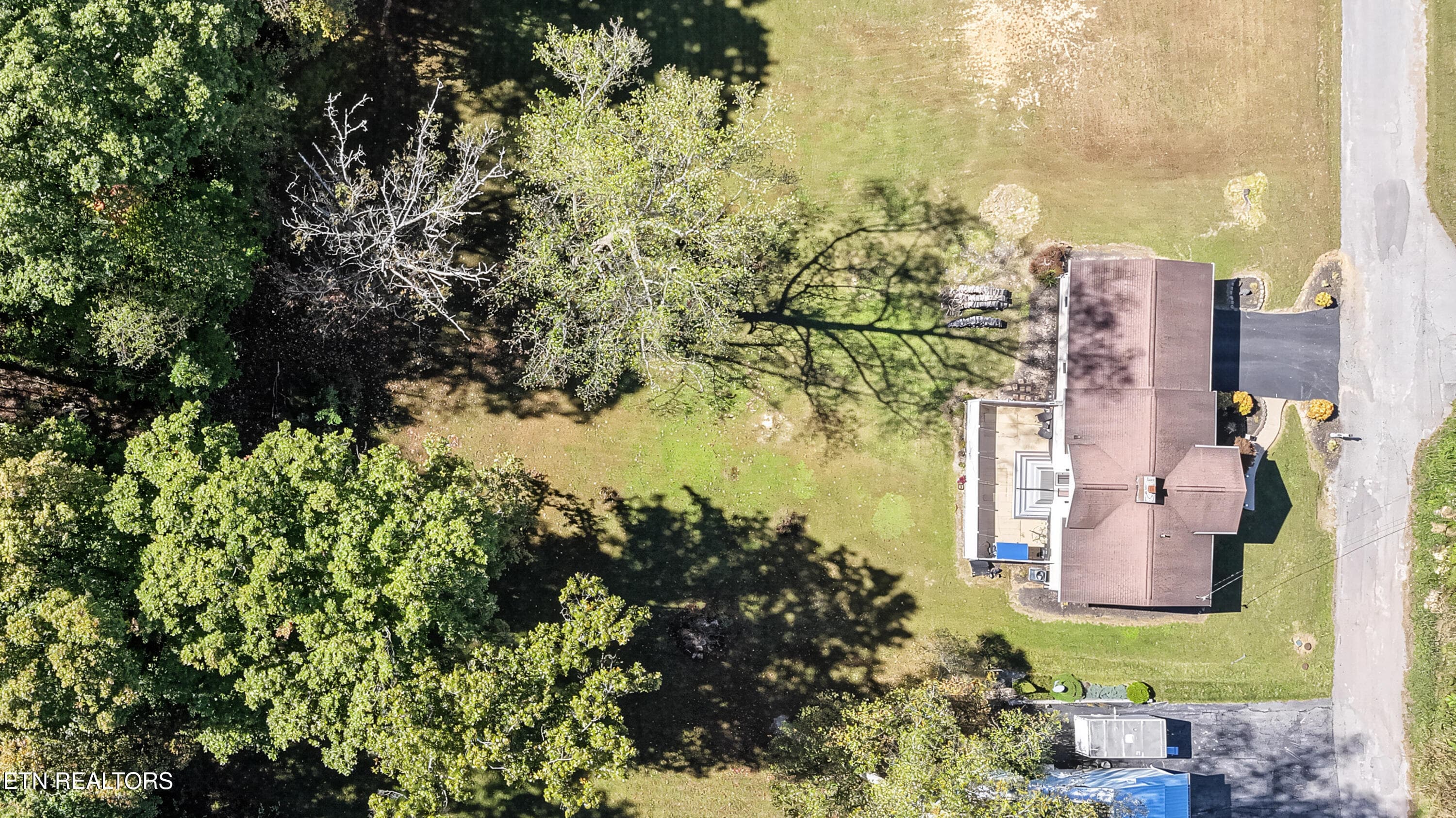 DJI_20261020121004_0159_D-2 - 135 Denise Drive, Speedwell, TN 37870