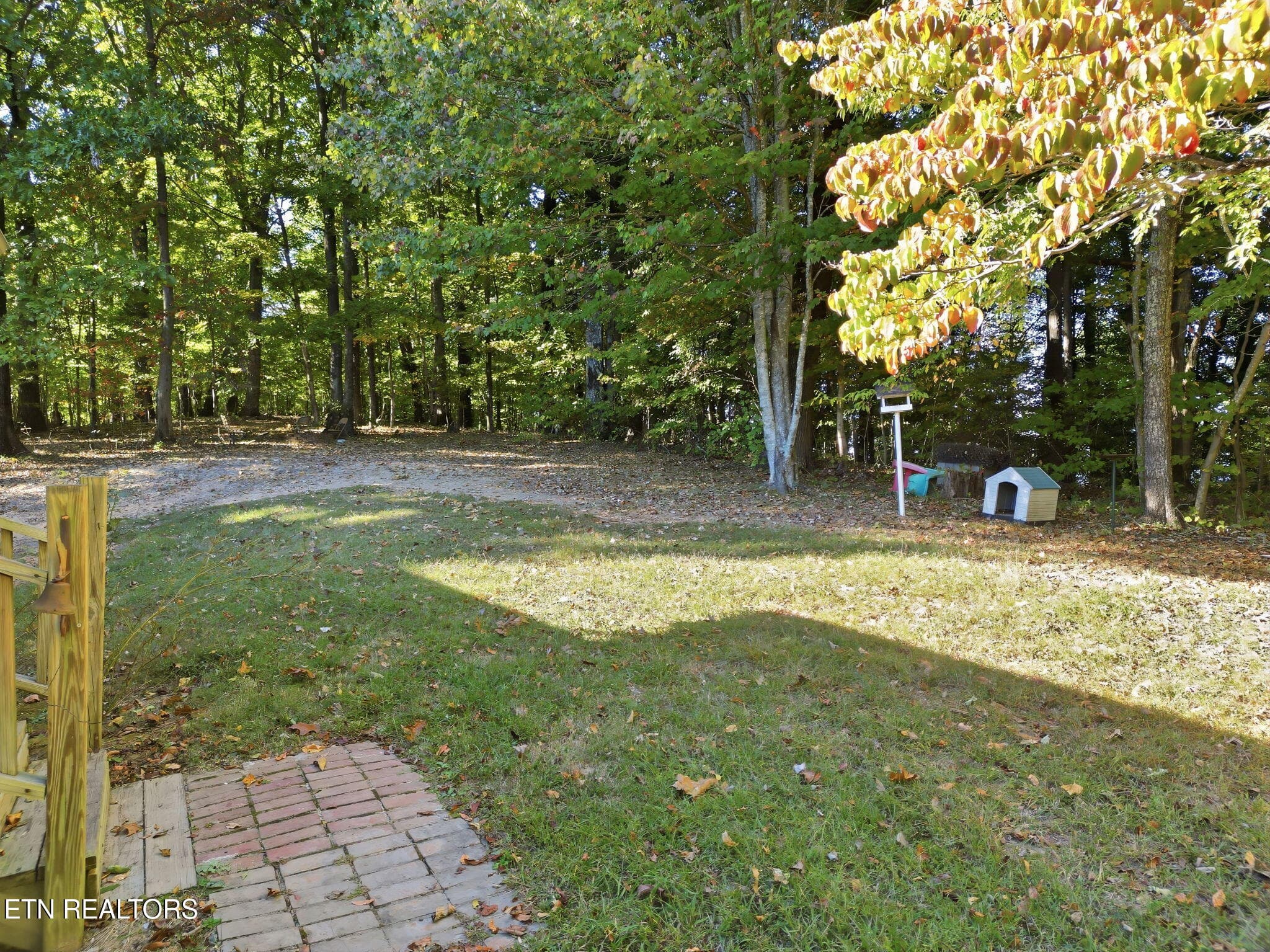 8-web-or-mls-DJI_0264-topaz - 8928 Ellis Lane, Powell, TN 37849