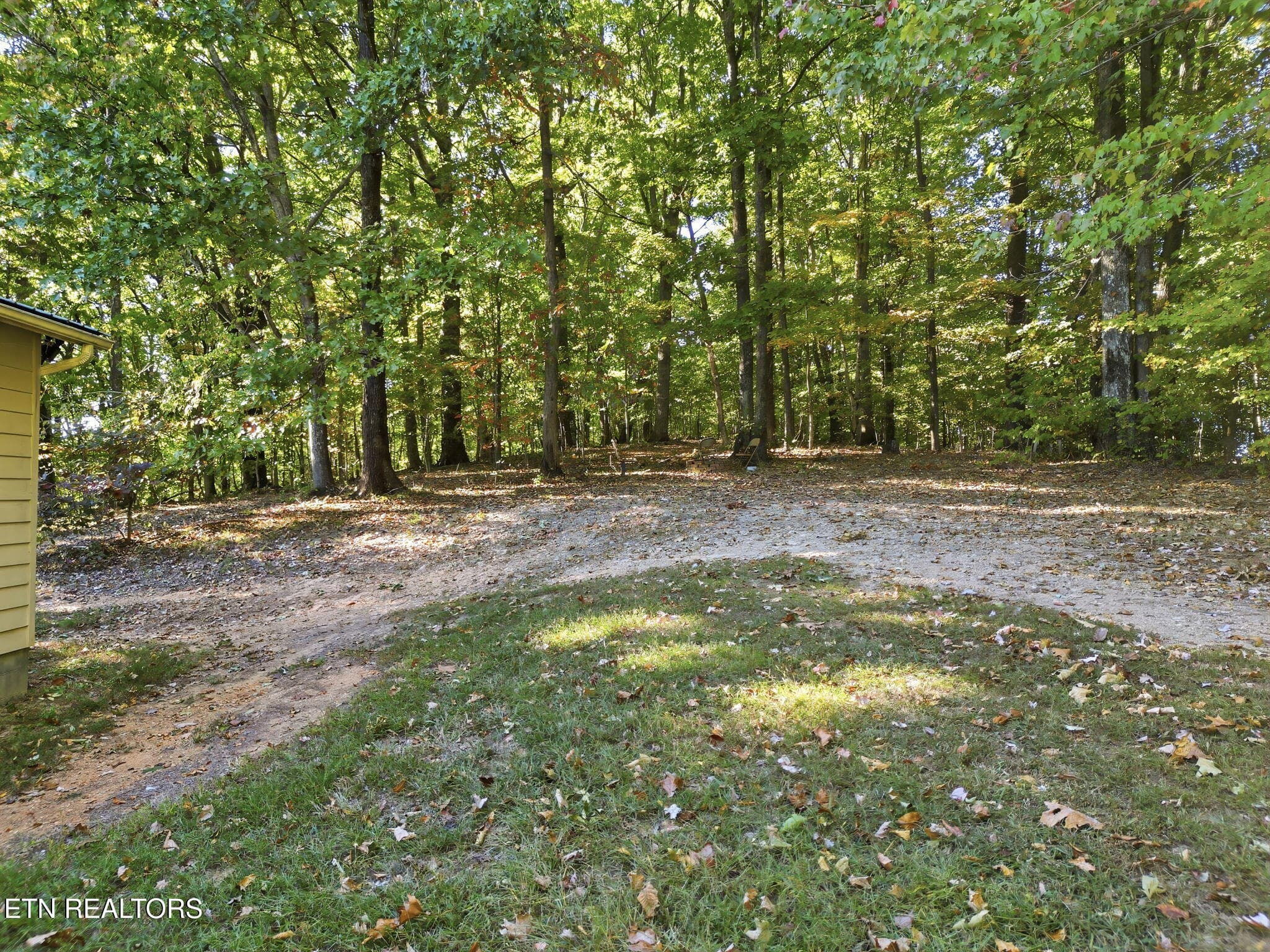 9-web-or-mls-DJI_0271-topaz - 8928 Ellis Lane, Powell, TN 37849