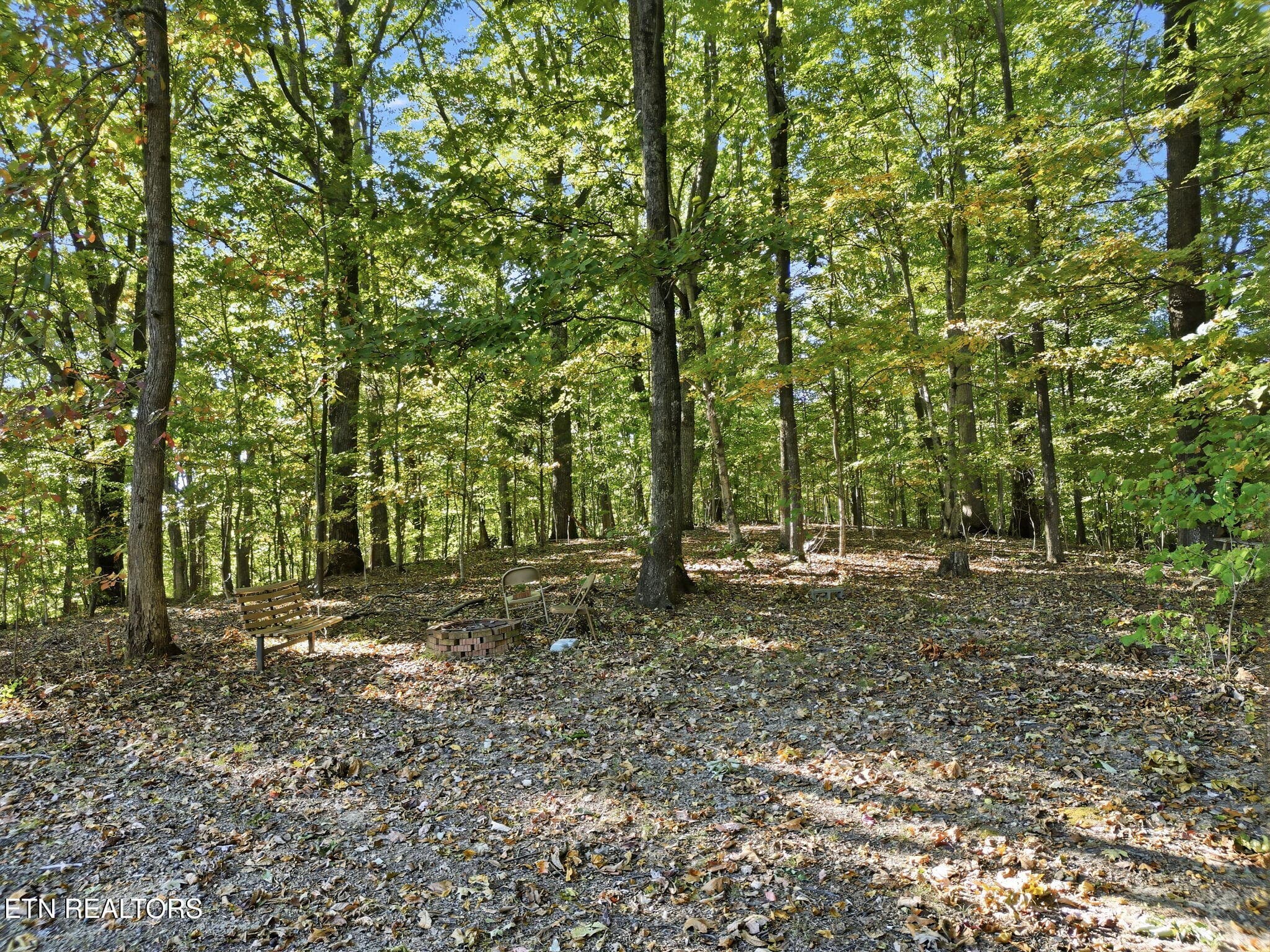 11-web-or-mls-DJI_0281-topaz - 8928 Ellis Lane, Powell, TN 37849