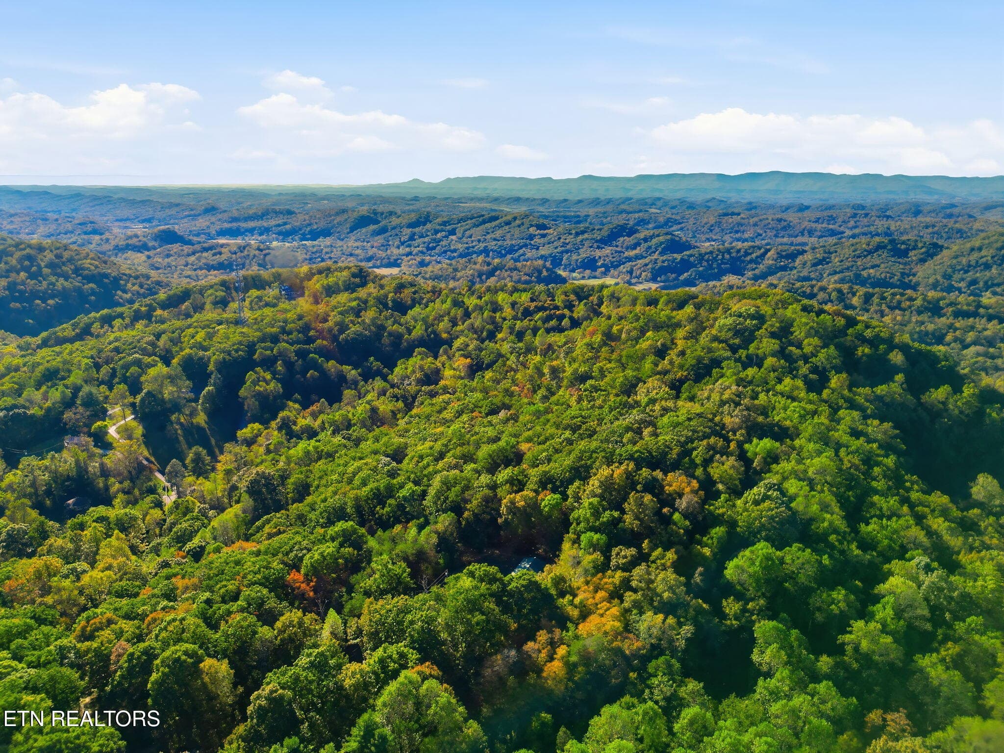 25-web-or-mls-DJI_0371-topaz - 8928 Ellis Lane, Powell, TN 37849