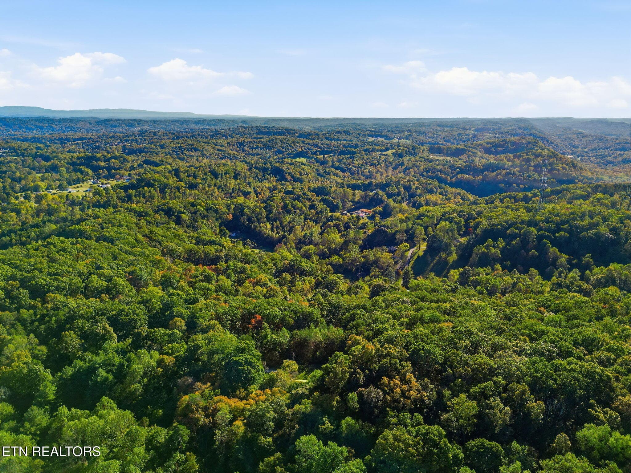 26-web-or-mls-DJI_0376-topaz - 8928 Ellis Lane, Powell, TN 37849