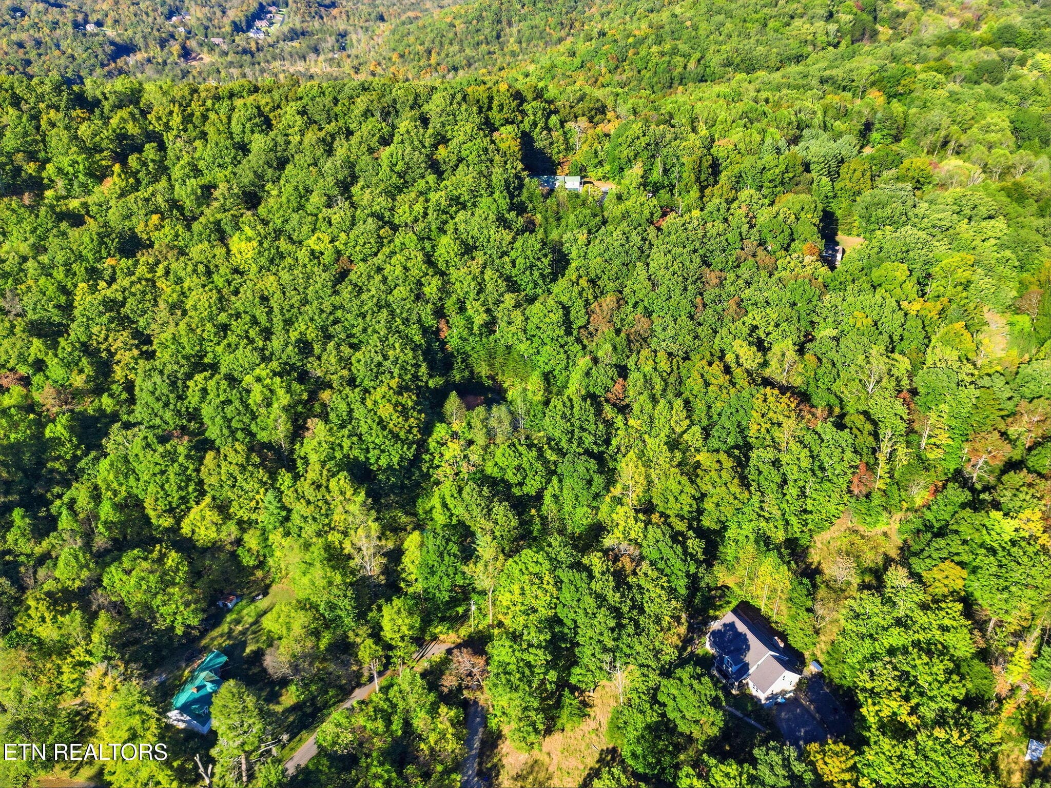 31-web-or-mls-DJI_0401-topaz - 8928 Ellis Lane, Powell, TN 37849