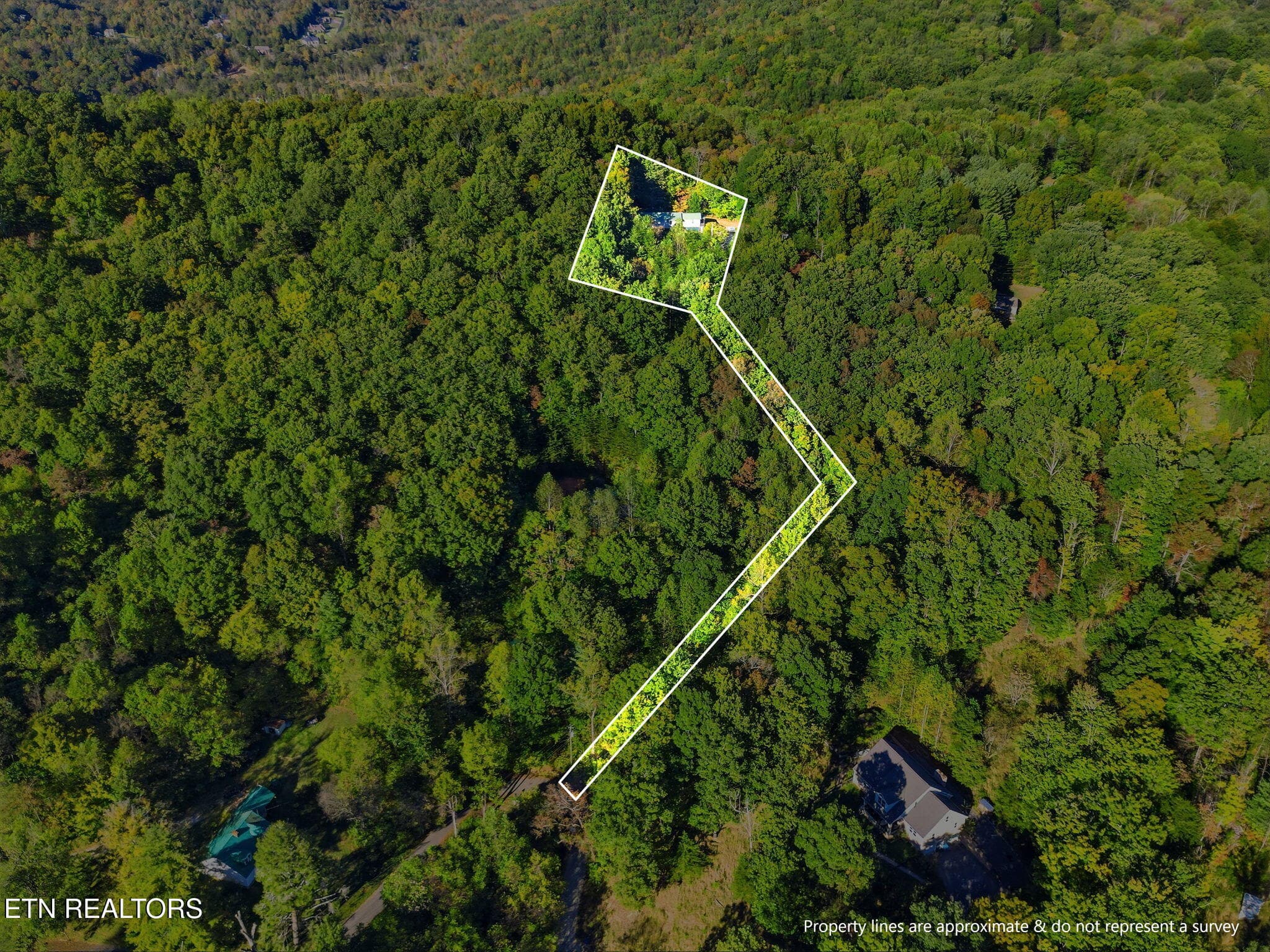 32-web-or-mls-DJI_0401-topaz_boundary - 8928 Ellis Lane, Powell, TN 37849