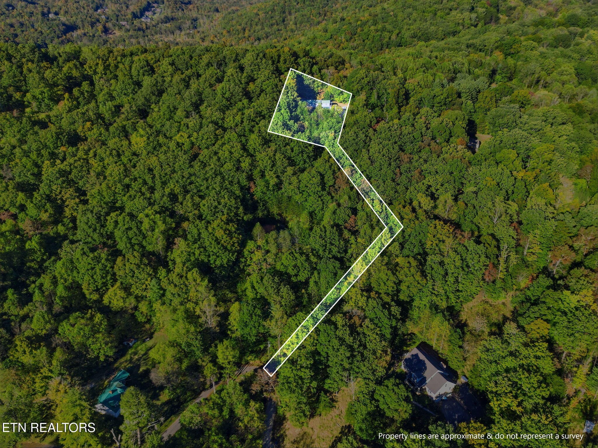 33-web-or-mls-DJI_0401-topaz_boundary2 - 8928 Ellis Lane, Powell, TN 37849