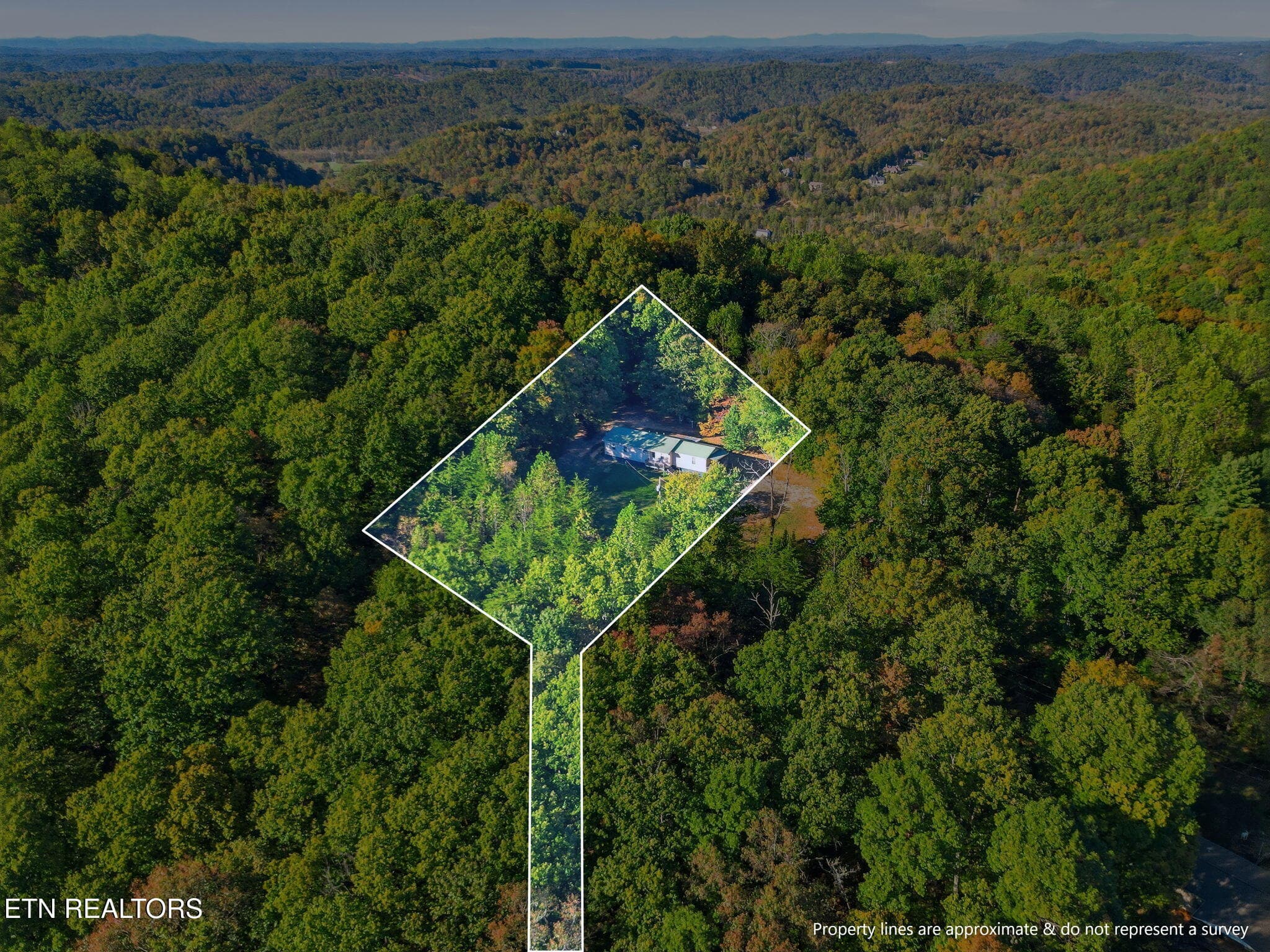36-web-or-mls-DJI_0409-topaz_boundary2 - 8928 Ellis Lane, Powell, TN 37849