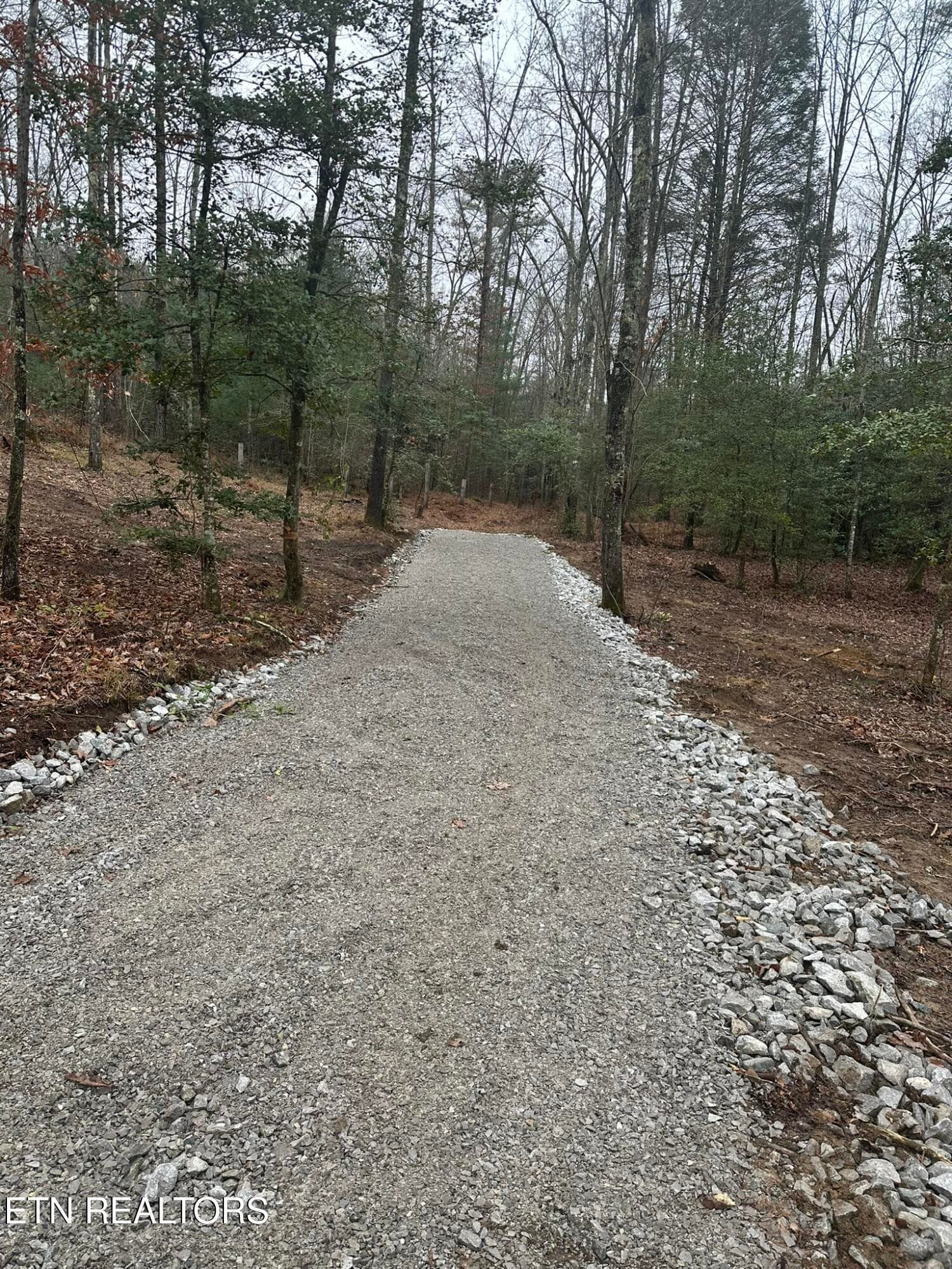 IMG_9387 - 247 Copperhead Rd, Oakdale, TN 37829