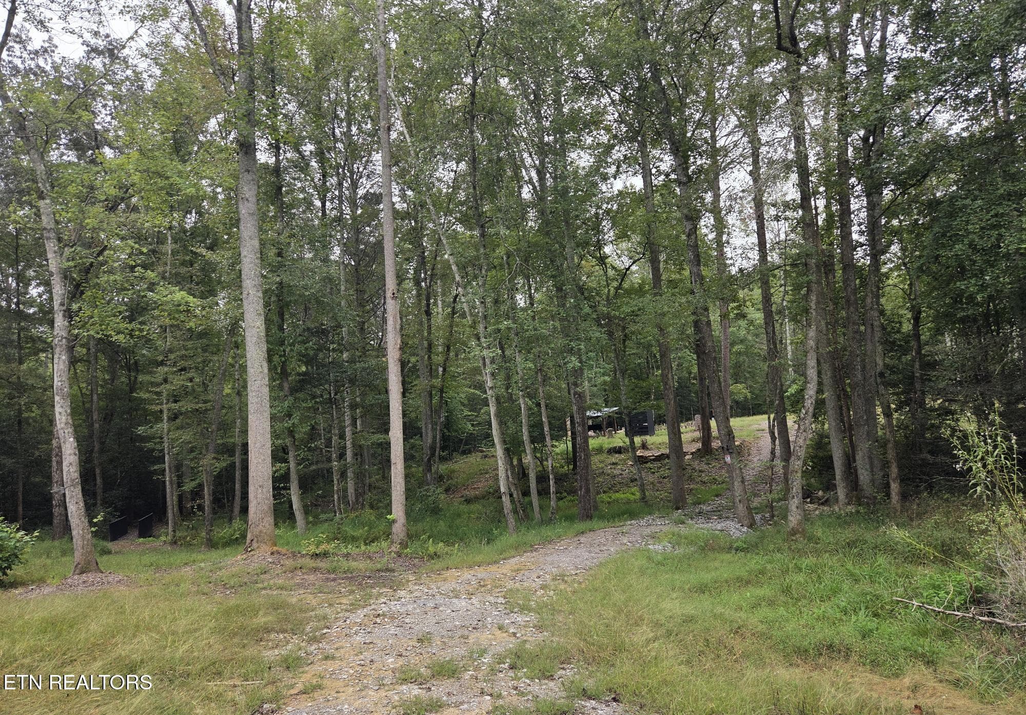 20260925_111819 - 247 Copperhead Rd, Oakdale, TN 37829