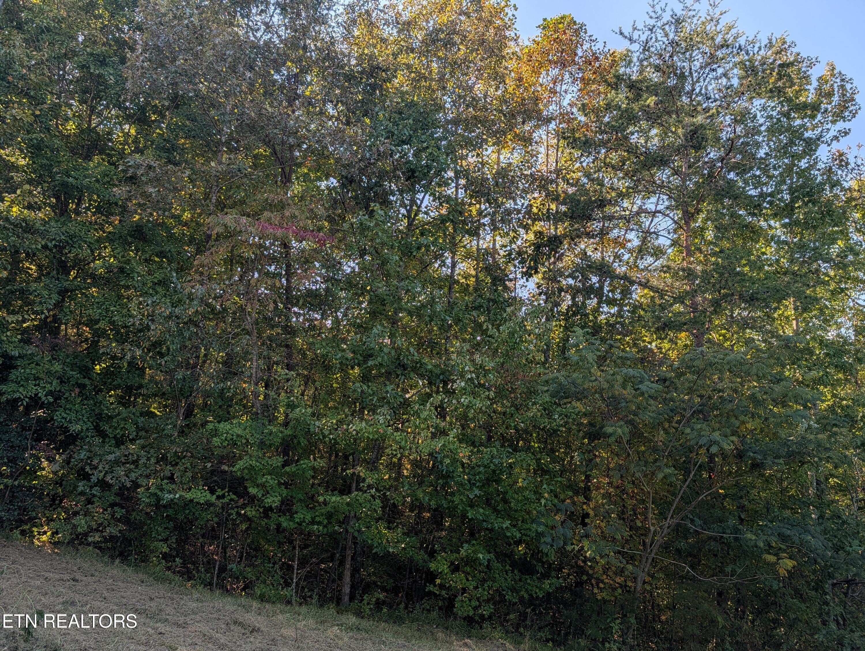 Acreage - 130 Abels Valley Rd, Rockwood, TN 37854