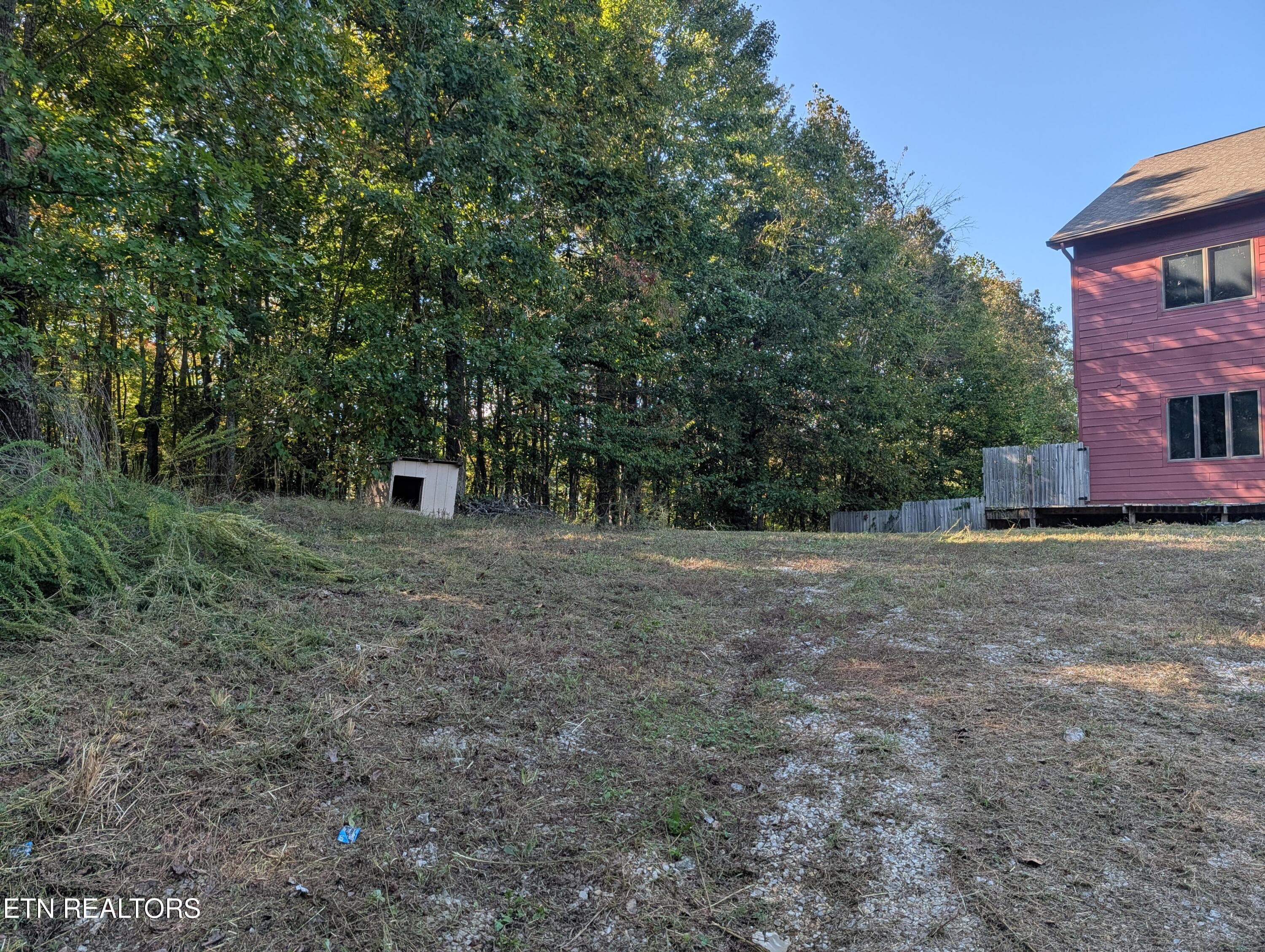 Yard & Woods - 130 Abels Valley Rd, Rockwood, TN 37854
