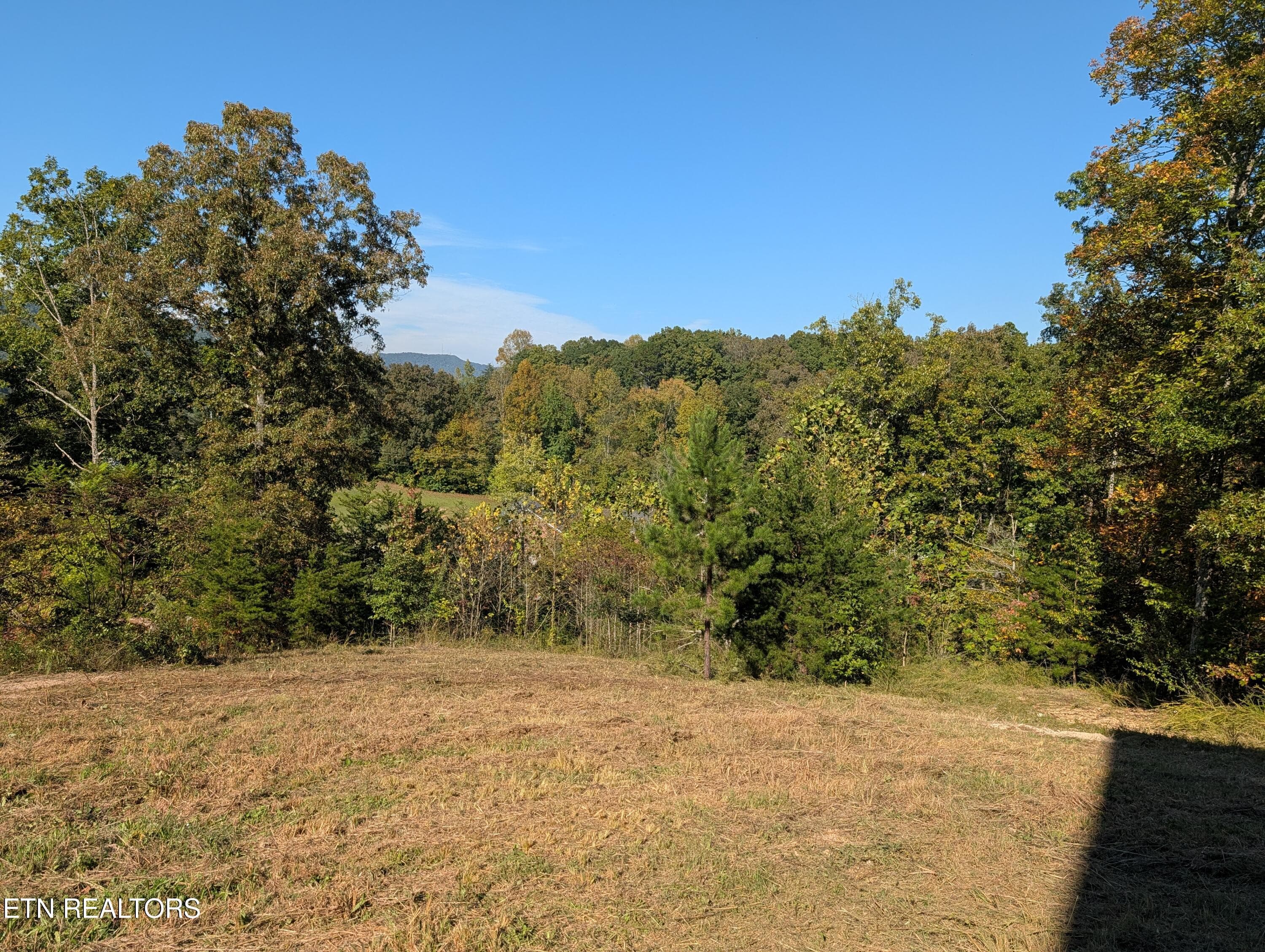 View of Yard - 130 Abels Valley Rd, Rockwood, TN 37854
