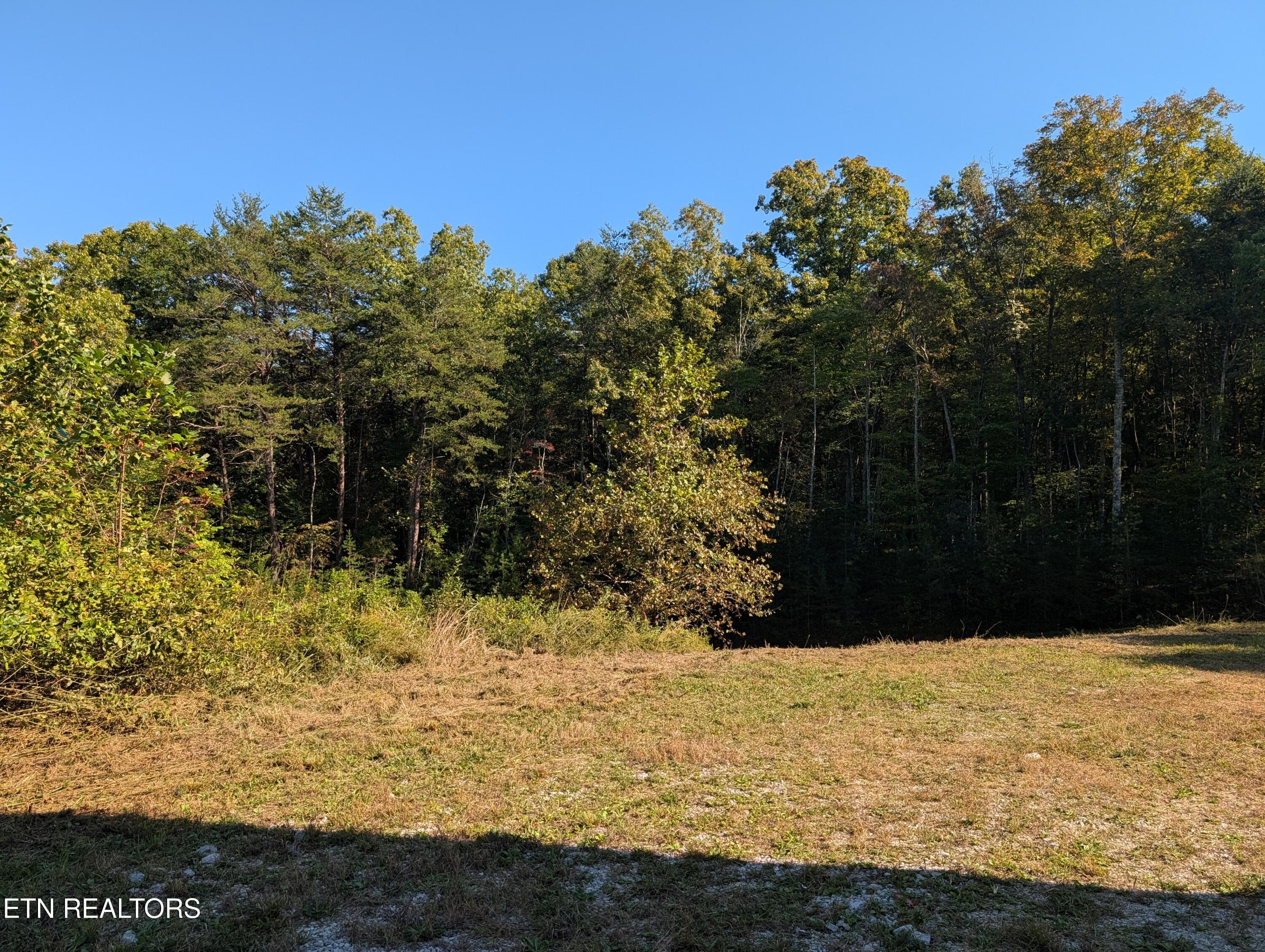 Driving Area - 130 Abels Valley Rd, Rockwood, TN 37854
