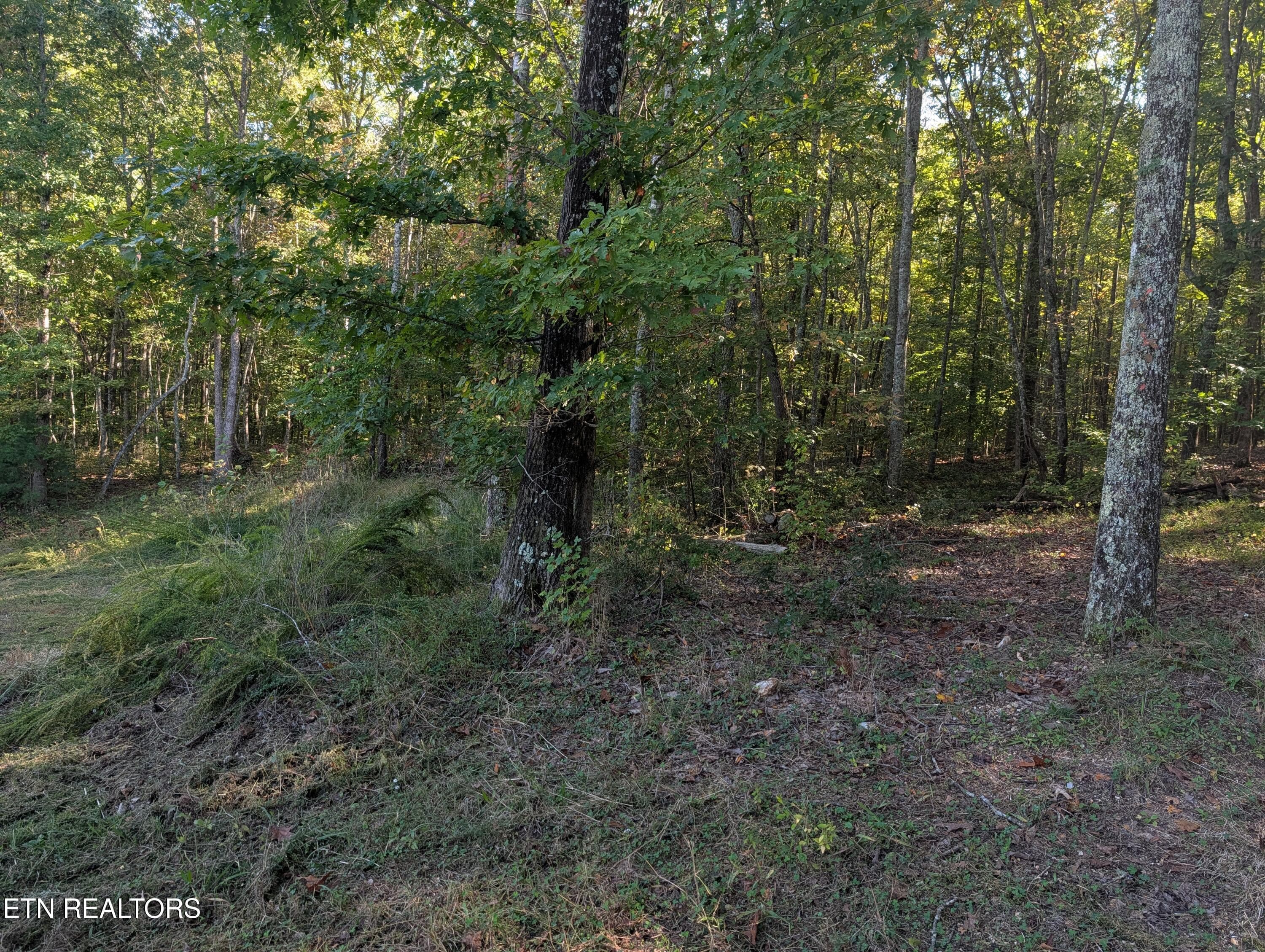 Room to Roam - 130 Abels Valley Rd, Rockwood, TN 37854
