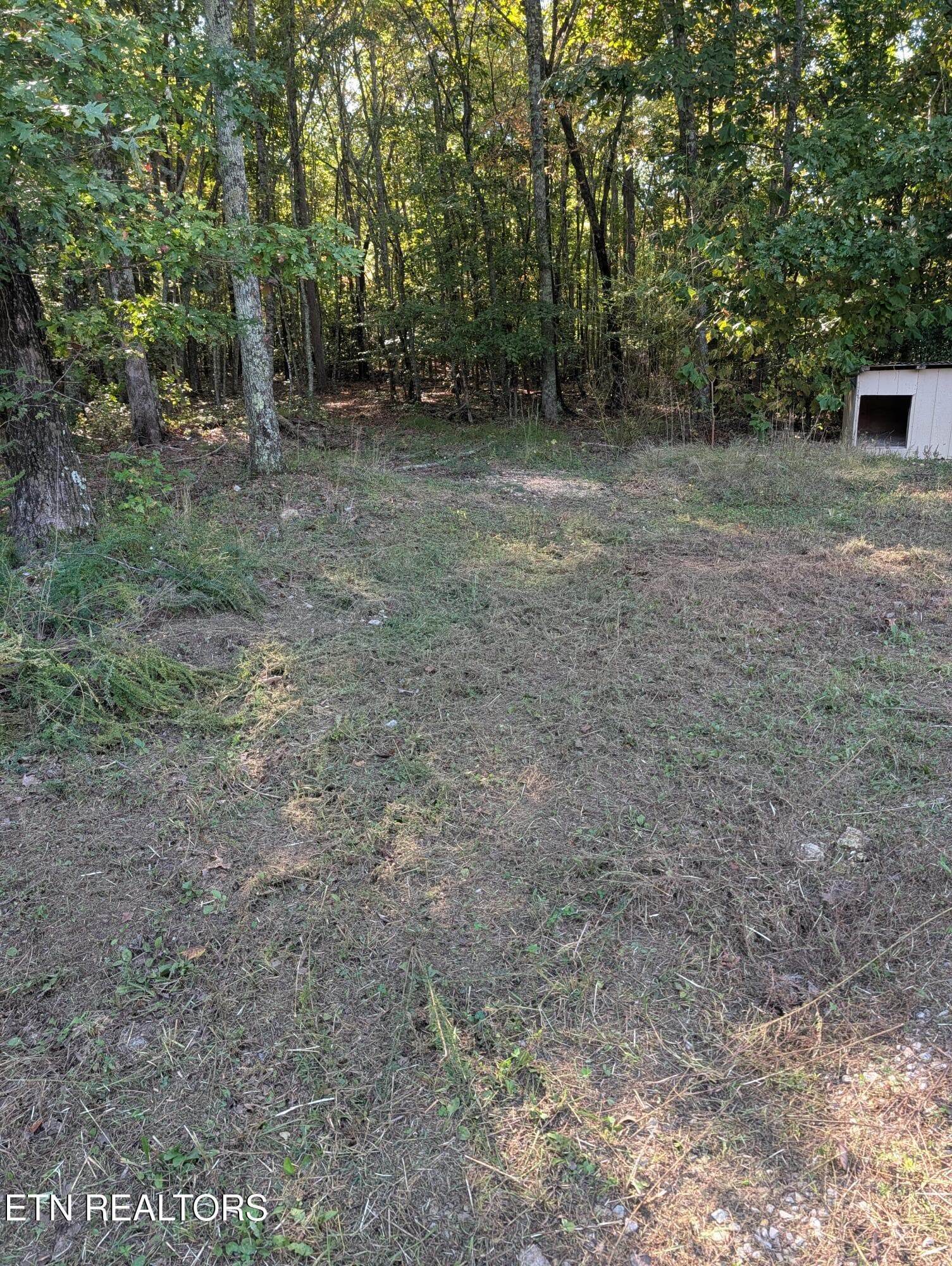 Cleared Area - 130 Abels Valley Rd, Rockwood, TN 37854