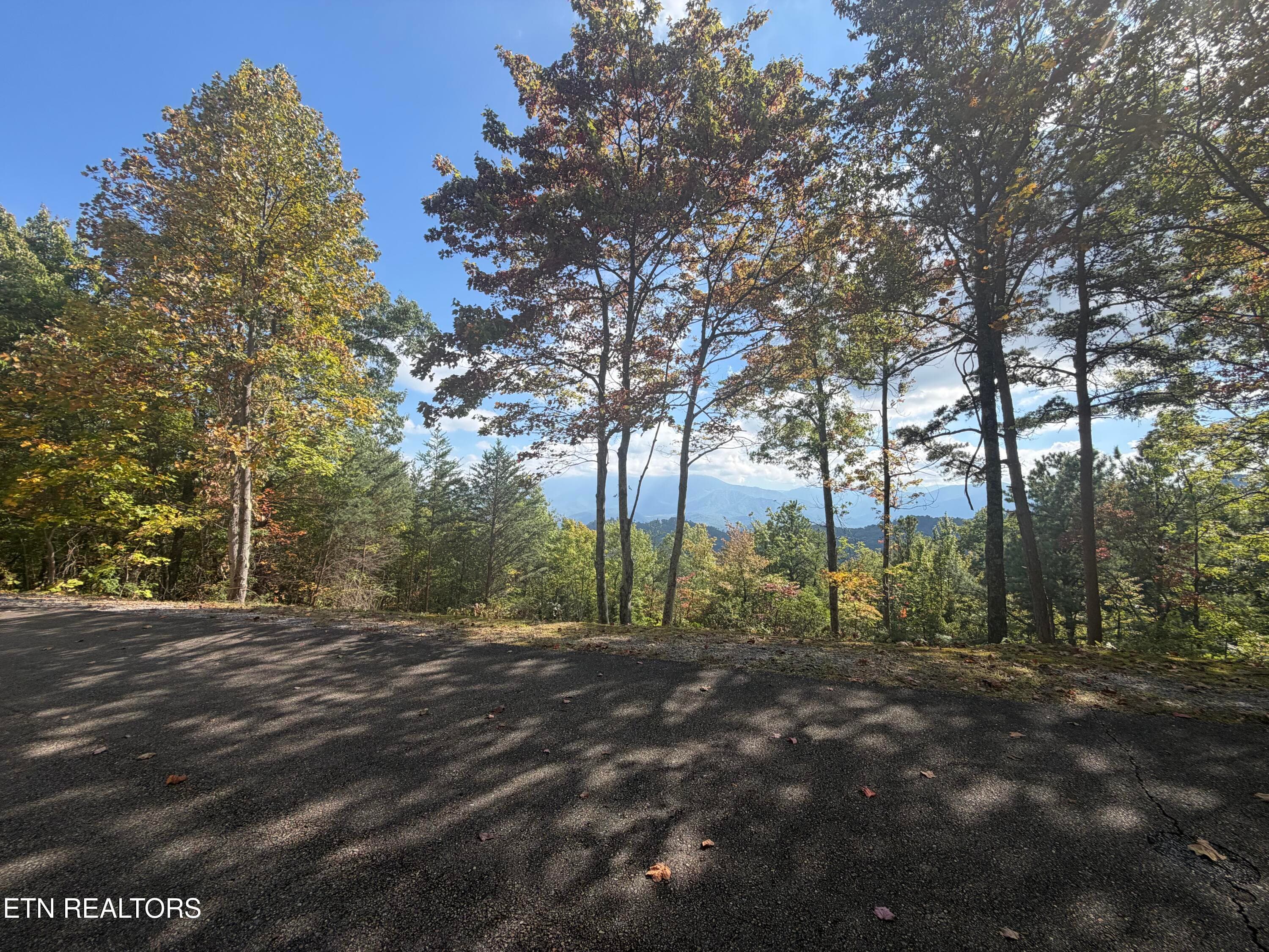 IMG_0633 - Laurel Top Way, Sevierville, TN 37862