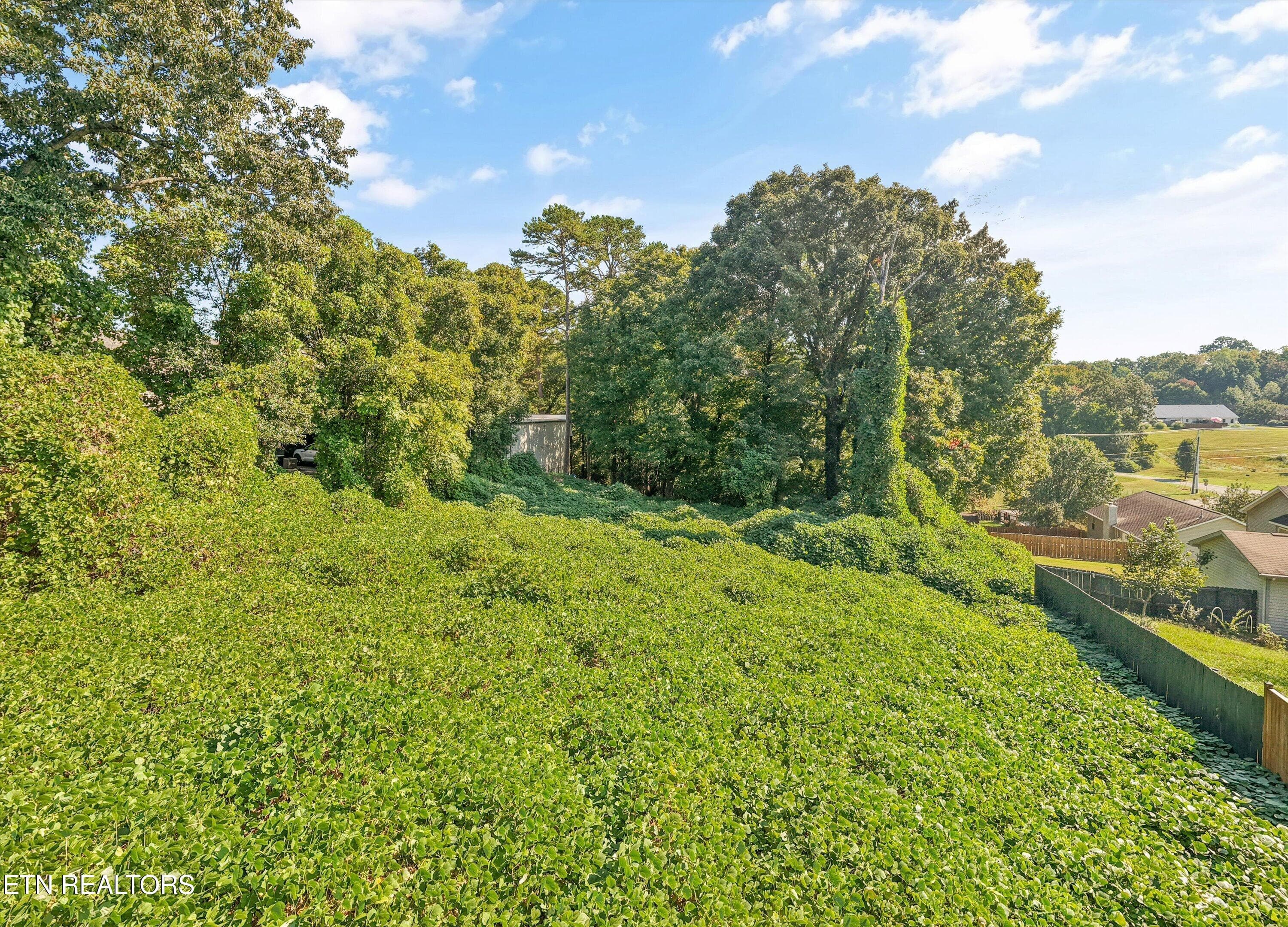 13-4335 Henson Rd12 - 4335 Henson Rd, Knoxville, TN 37921