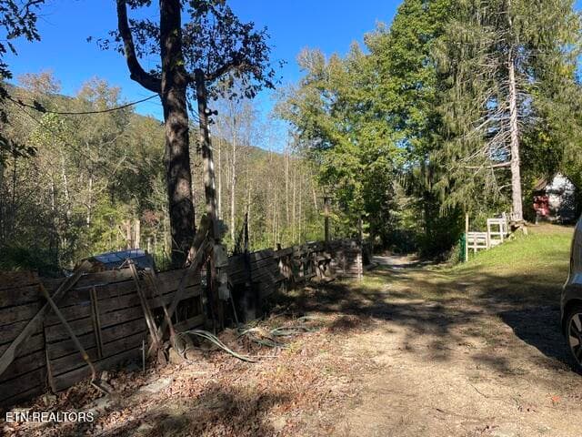 driveway 2 - 387 Steve Brown Rd, Bean Station, TN 37708