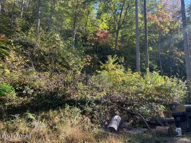 wooded - 387 Steve Brown Rd, Bean Station, TN 37708