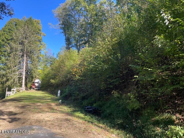 yard - 387 Steve Brown Rd, Bean Station, TN 37708