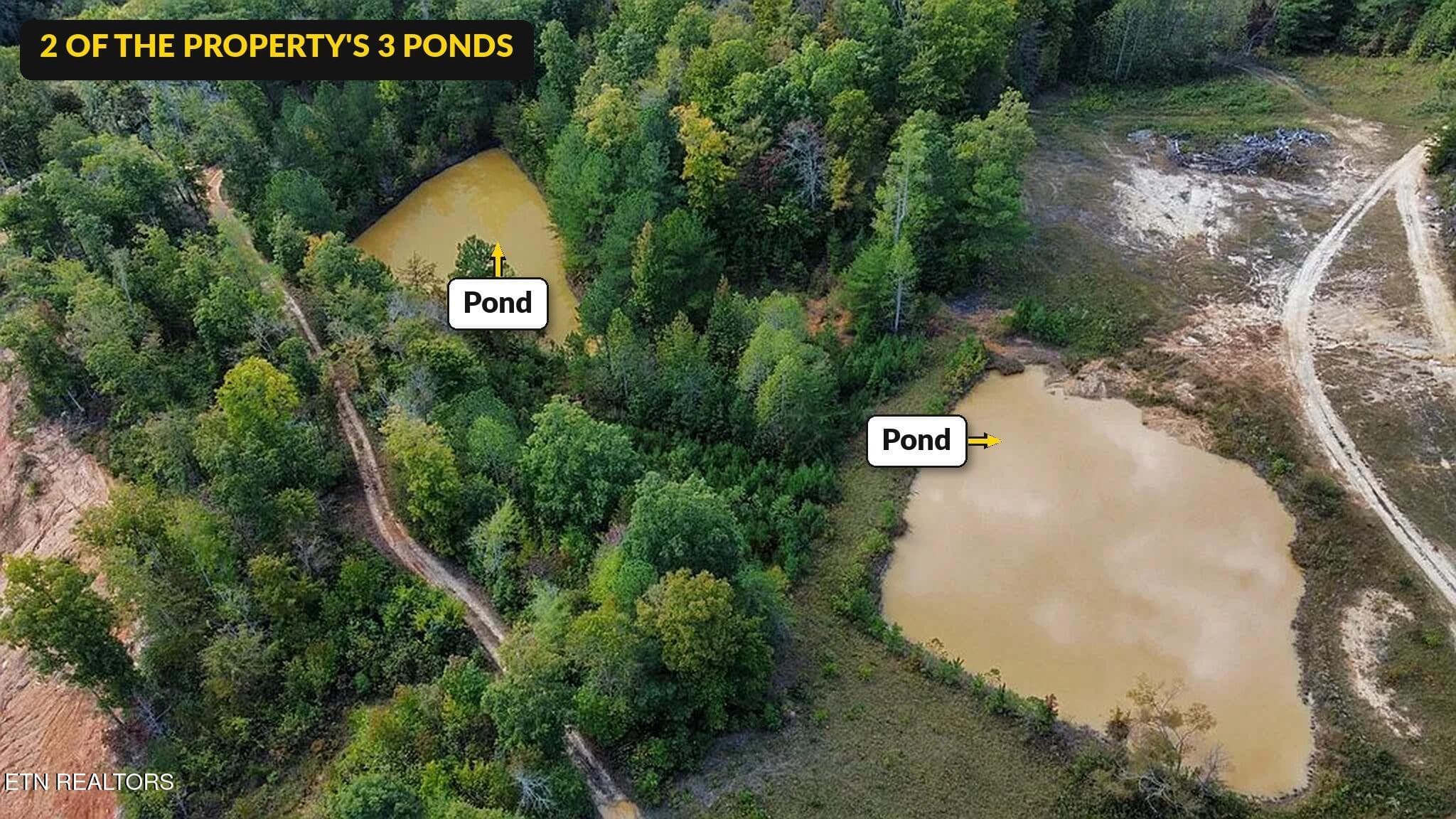 Puncheon_Creek_09_Two_Ponds - 00 Puncheon Creek Lane, Allred, TN 38542