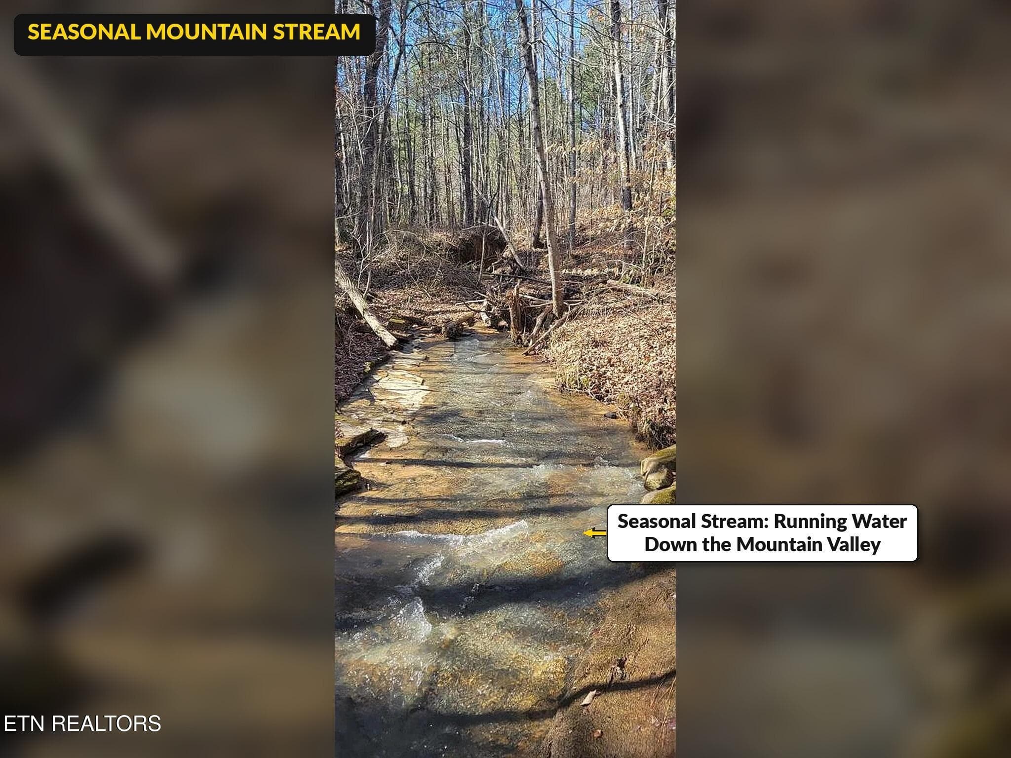 Puncheon_Creek_10_Seasonal_Stream - 00 Puncheon Creek Lane, Allred, TN 38542