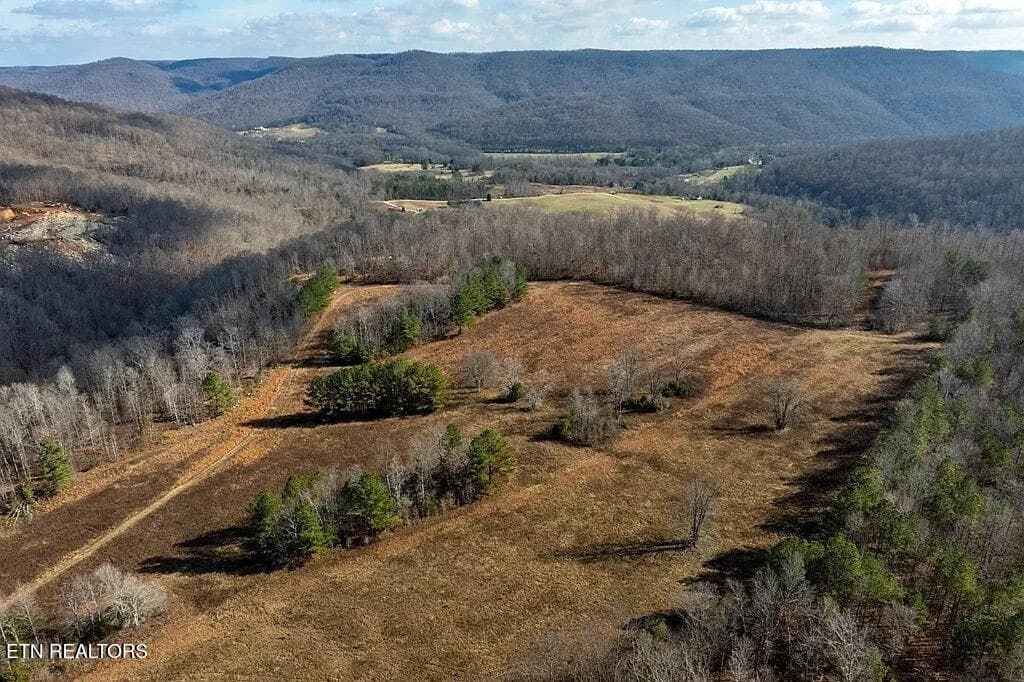 Puncheon_Creek_16_Pasture_Valley_Views - 00 Puncheon Creek Lane, Allred, TN 38542