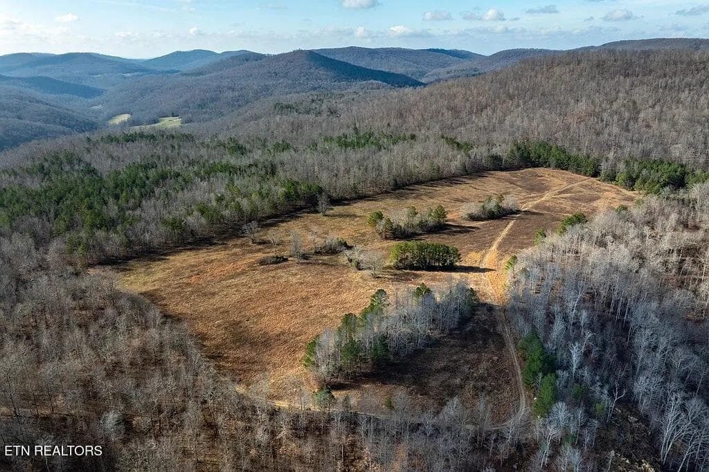Puncheon_Creek_17_Pasture_Aerial - 00 Puncheon Creek Lane, Allred, TN 38542