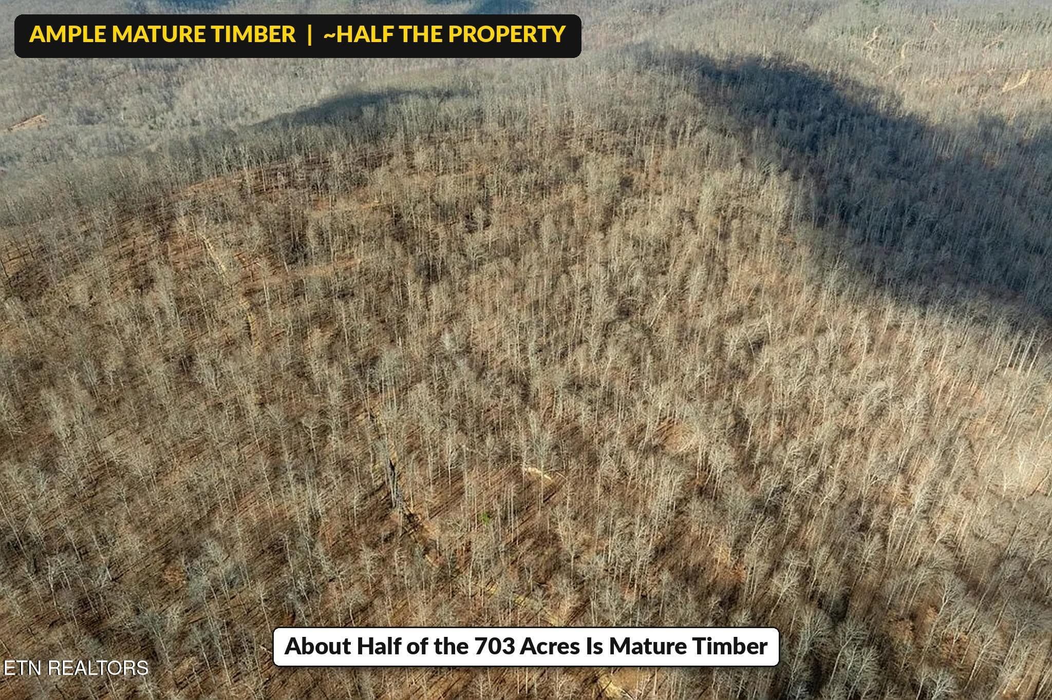 Puncheon_Creek_20_Timber_Aerial - 00 Puncheon Creek Lane, Allred, TN 38542